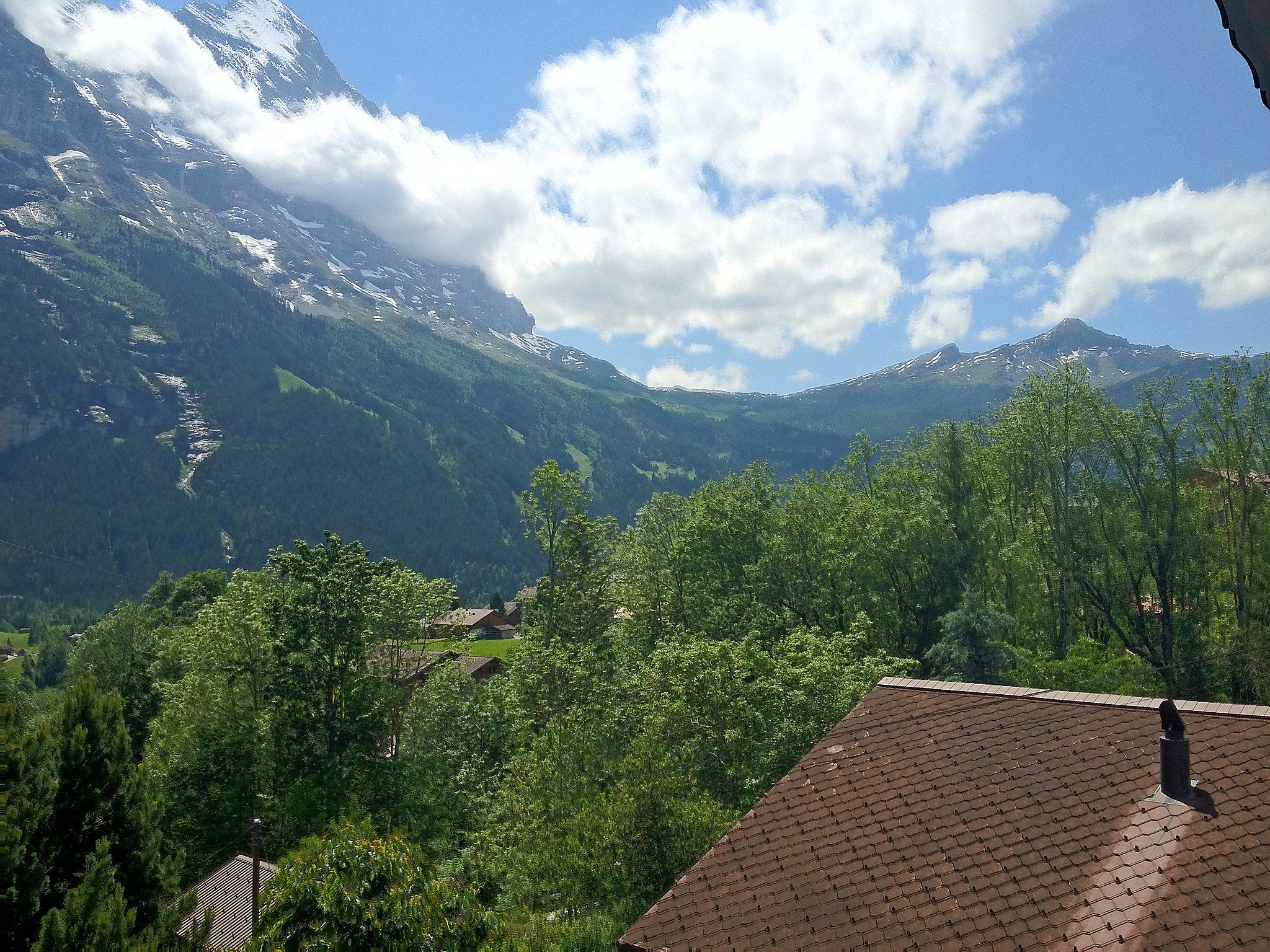 Foto 2 - Apartamento de 1 quarto em Grindelwald com vista para a montanha