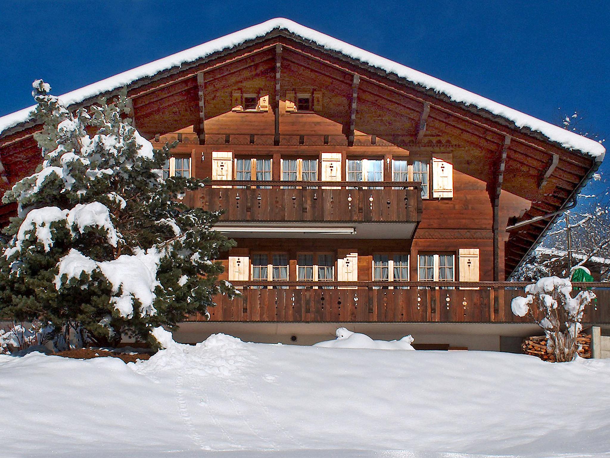 Foto 10 - Apartamento de 1 habitación en Grindelwald con vistas a la montaña