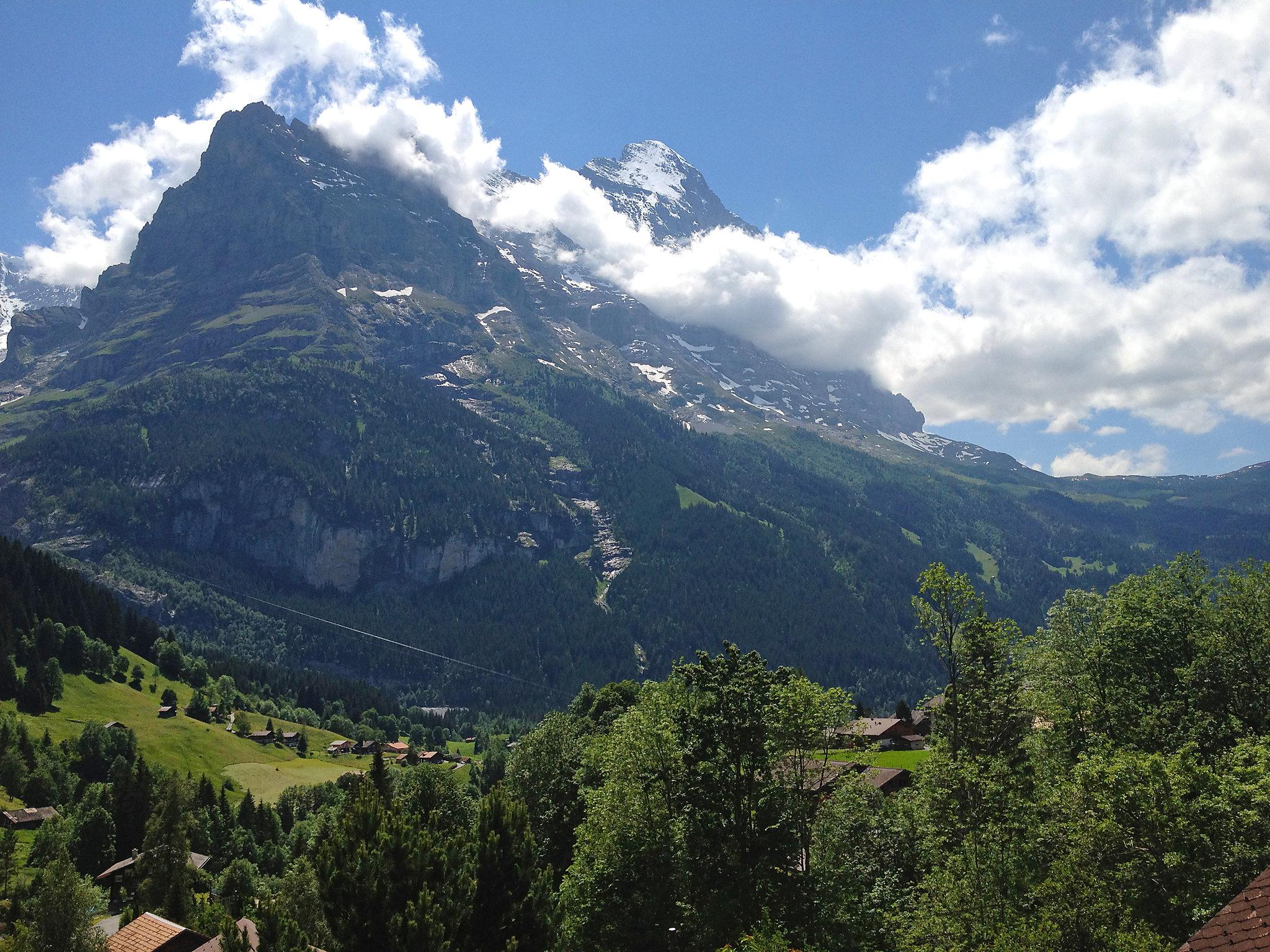 Foto 6 - Appartamento con 1 camera da letto a Grindelwald con vista sulle montagne