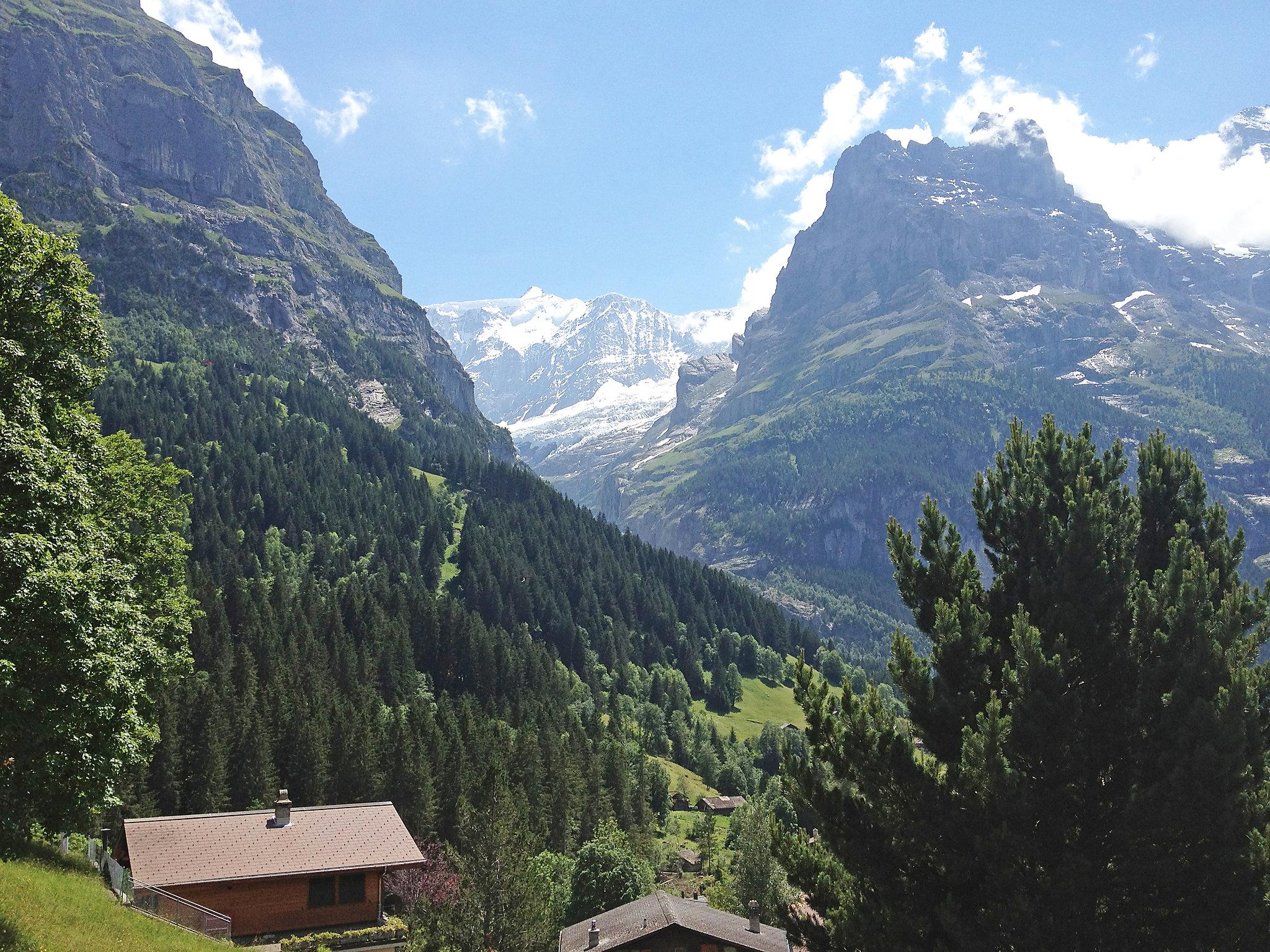 Foto 9 - Apartamento de 1 quarto em Grindelwald com vista para a montanha