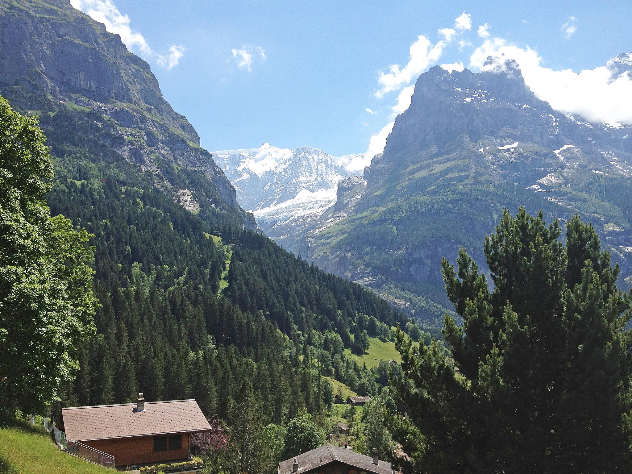 Foto 9 - Apartment mit 1 Schlafzimmer in Grindelwald mit blick auf die berge