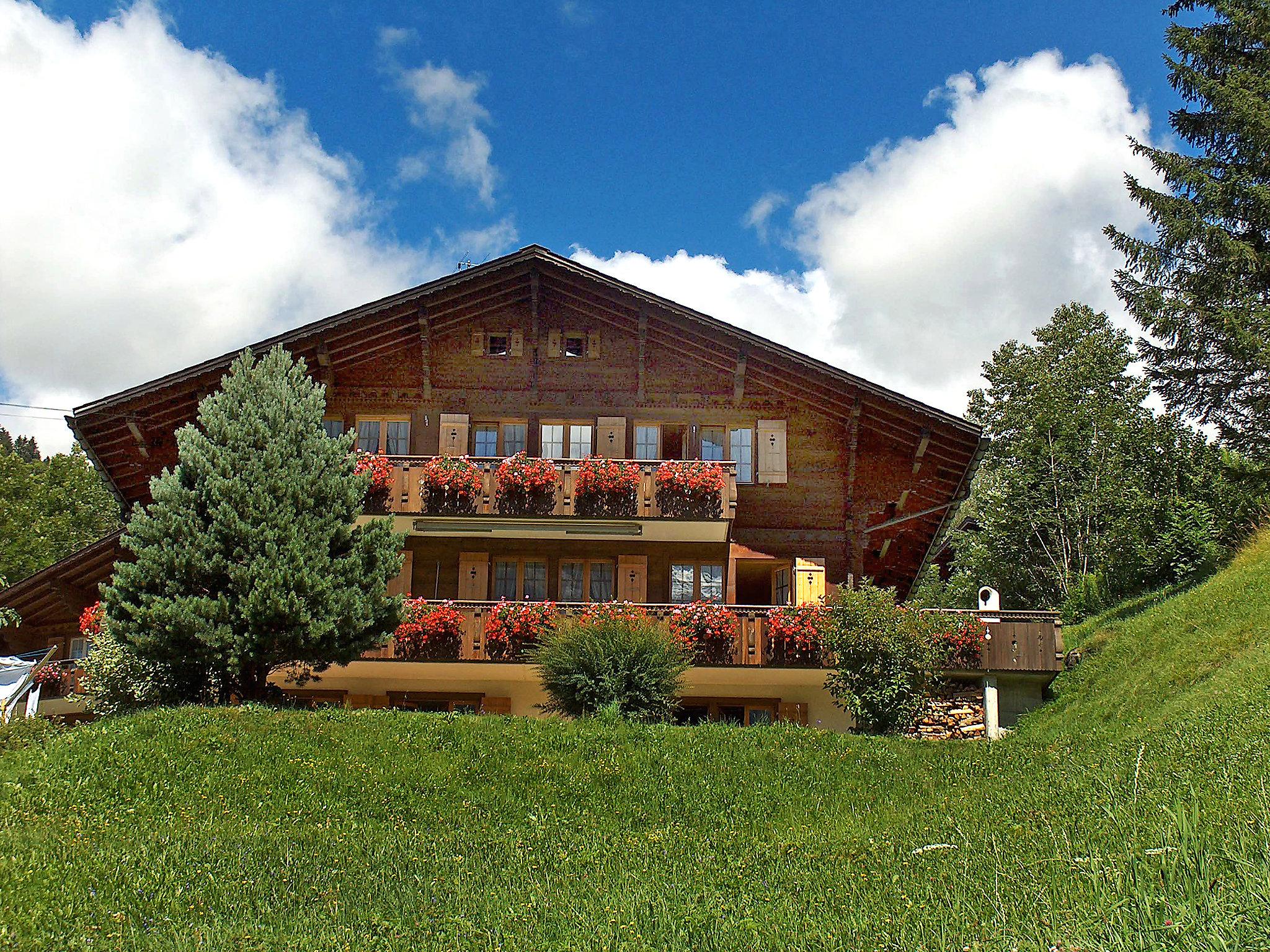 Foto 1 - Apartamento de 1 habitación en Grindelwald con vistas a la montaña