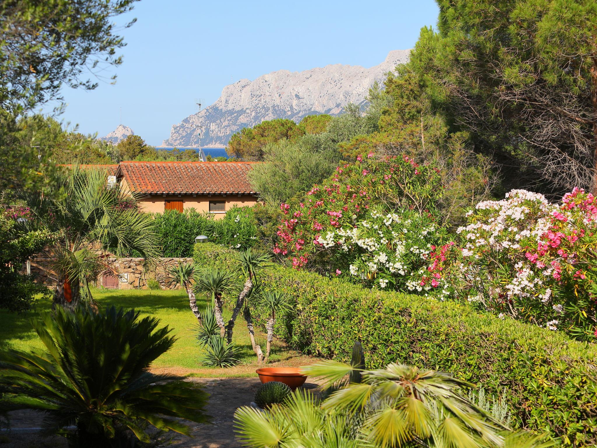 Photo 3 - Maison de 2 chambres à Olbia avec jardin et vues à la mer