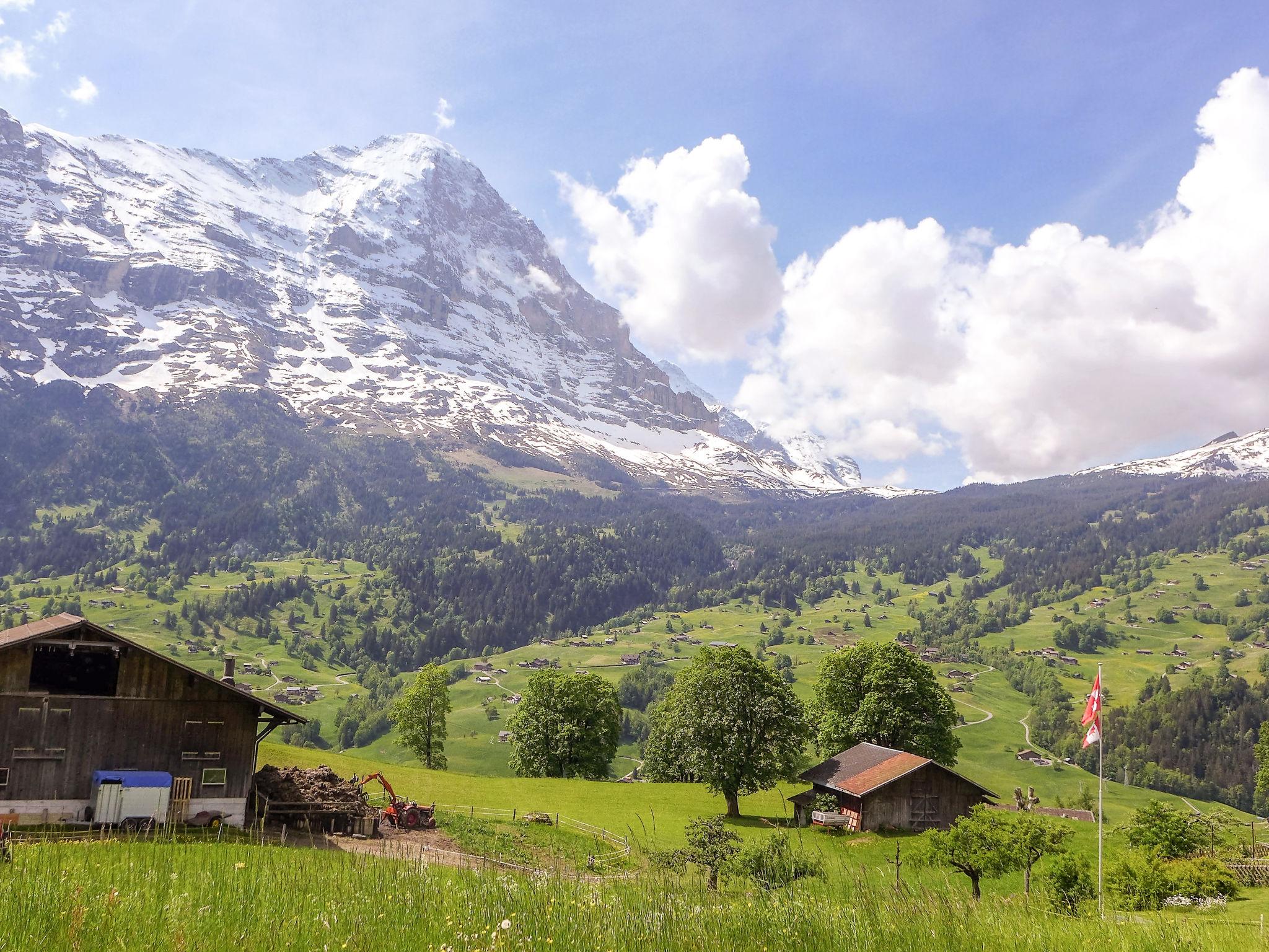 Foto 18 - Apartamento de 1 habitación en Grindelwald con jardín y terraza