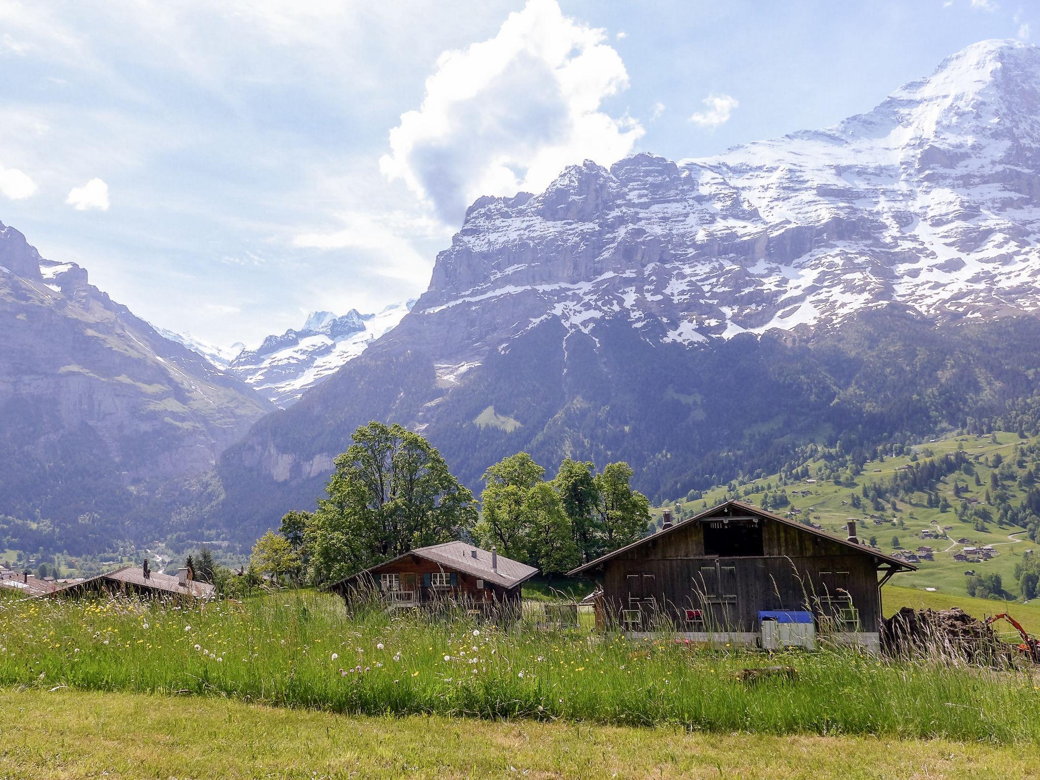 Photo 20 - 1 bedroom Apartment in Grindelwald with garden and terrace