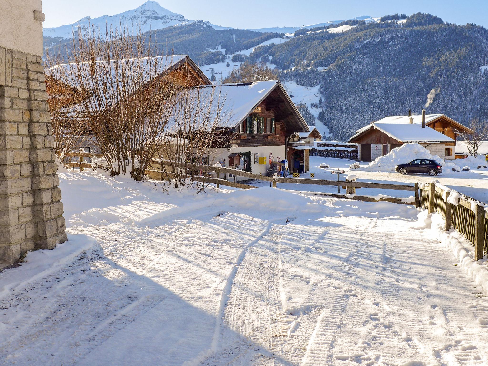 Foto 30 - Apartamento de 1 habitación en Grindelwald con jardín y terraza