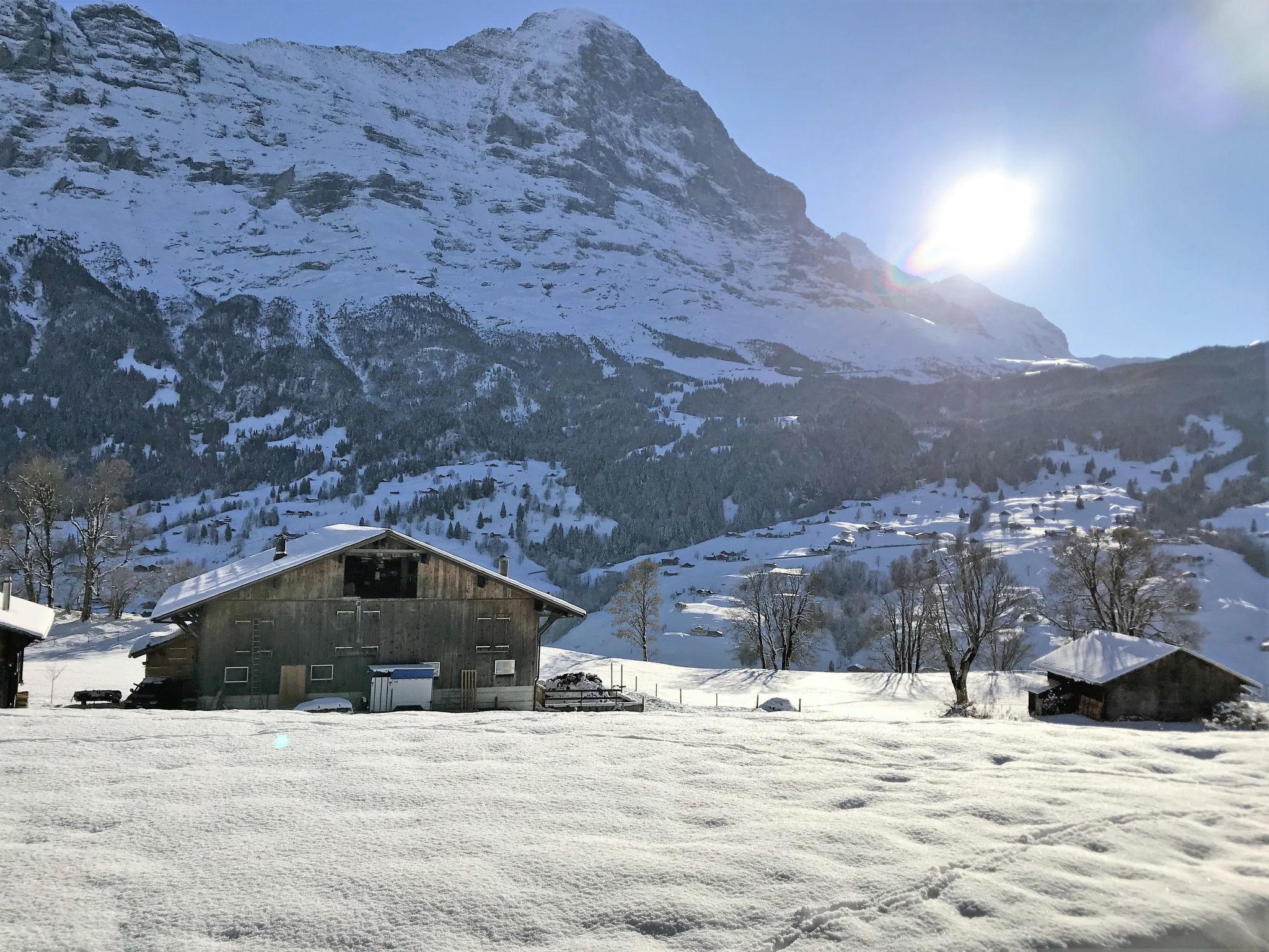 Foto 28 - Apartamento de 1 quarto em Grindelwald com jardim e terraço