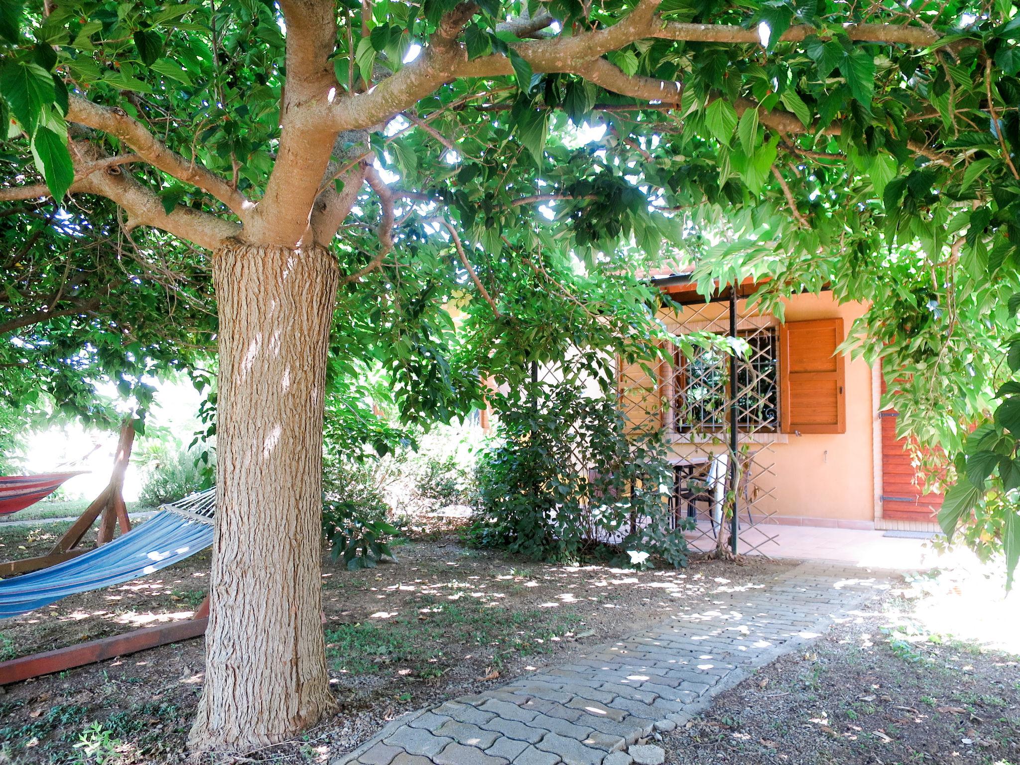 Photo 2 - Maison de 1 chambre à Roccastrada avec piscine et jardin