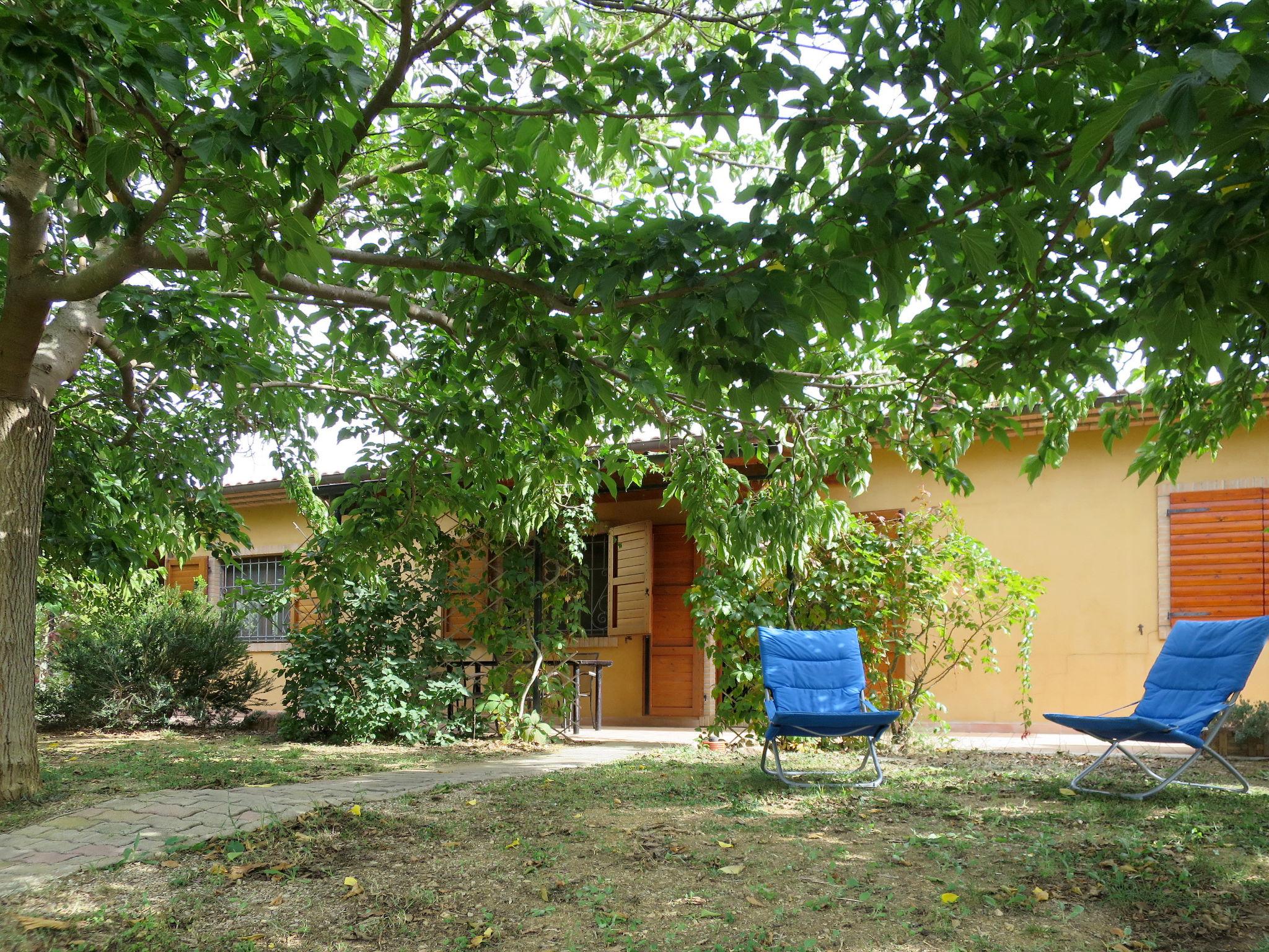 Foto 20 - Casa con 1 camera da letto a Roccastrada con piscina e giardino