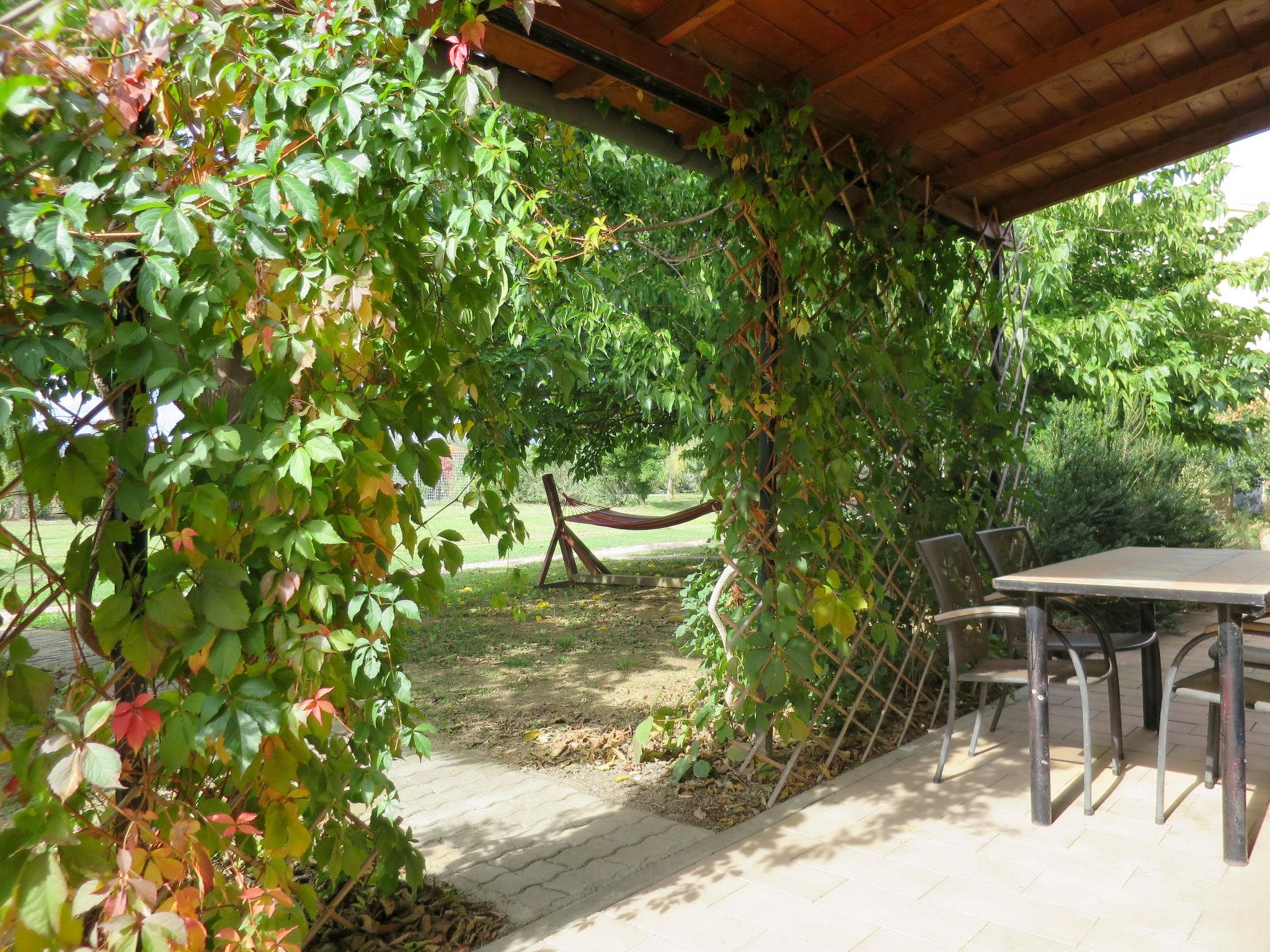 Foto 5 - Casa de 1 habitación en Roccastrada con piscina y jardín