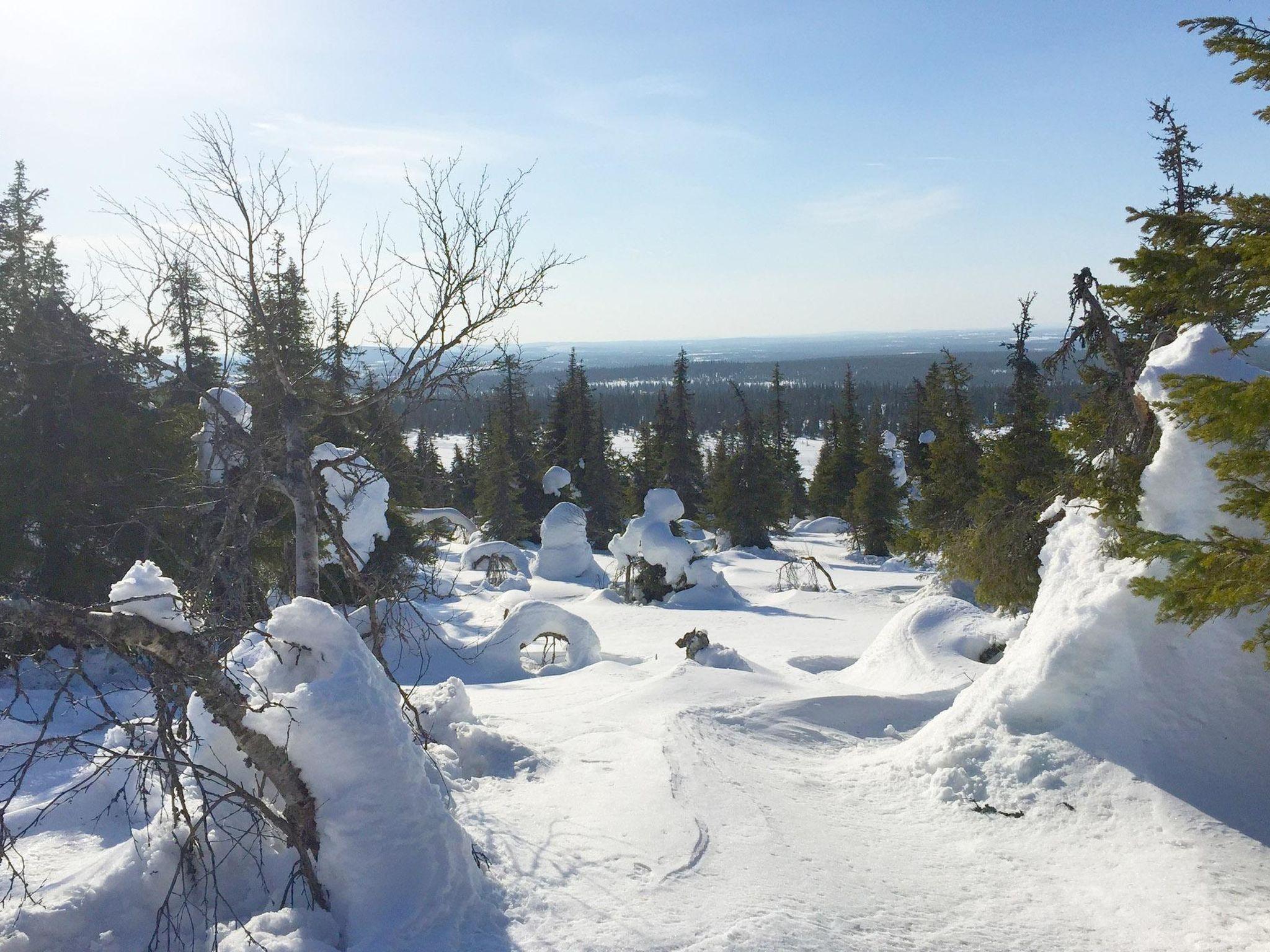 Photo 2 - 2 bedroom House in Salla with sauna and mountain view