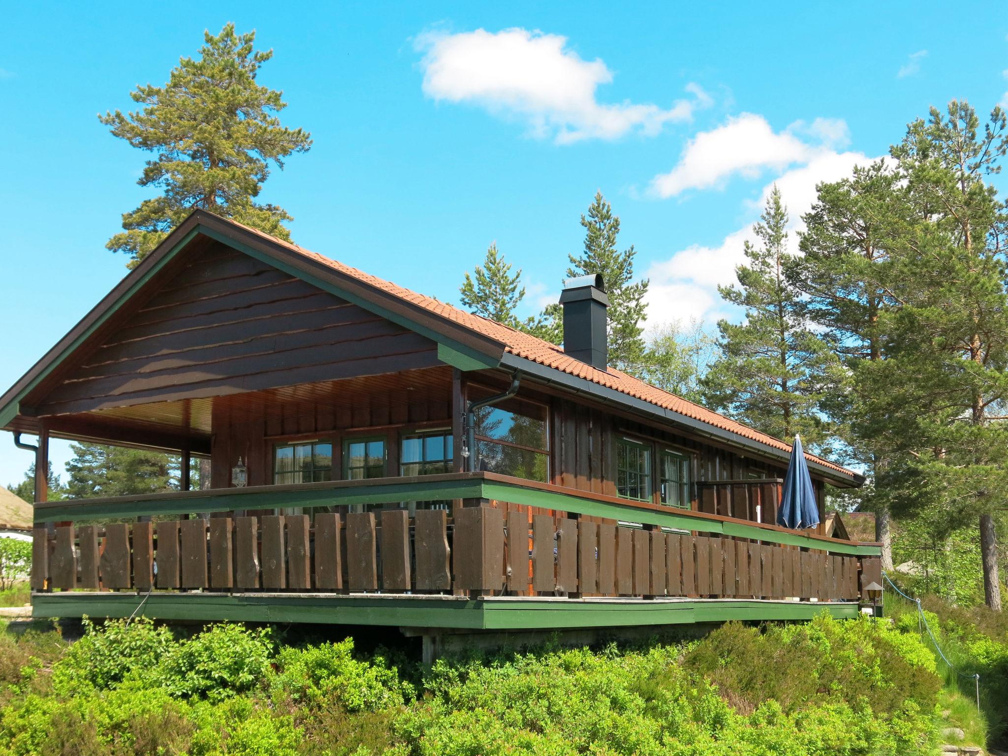 Photo 13 - Maison de 3 chambres à Nissedal avec terrasse et sauna