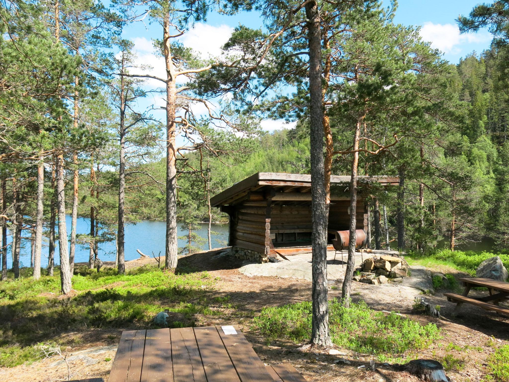 Photo 16 - Maison de 3 chambres à Nissedal avec terrasse et sauna