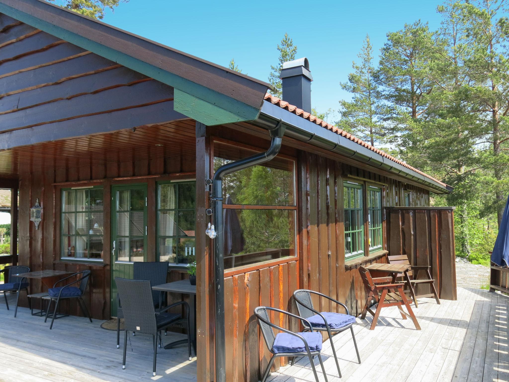 Foto 1 - Casa de 3 quartos em Nissedal com terraço e sauna