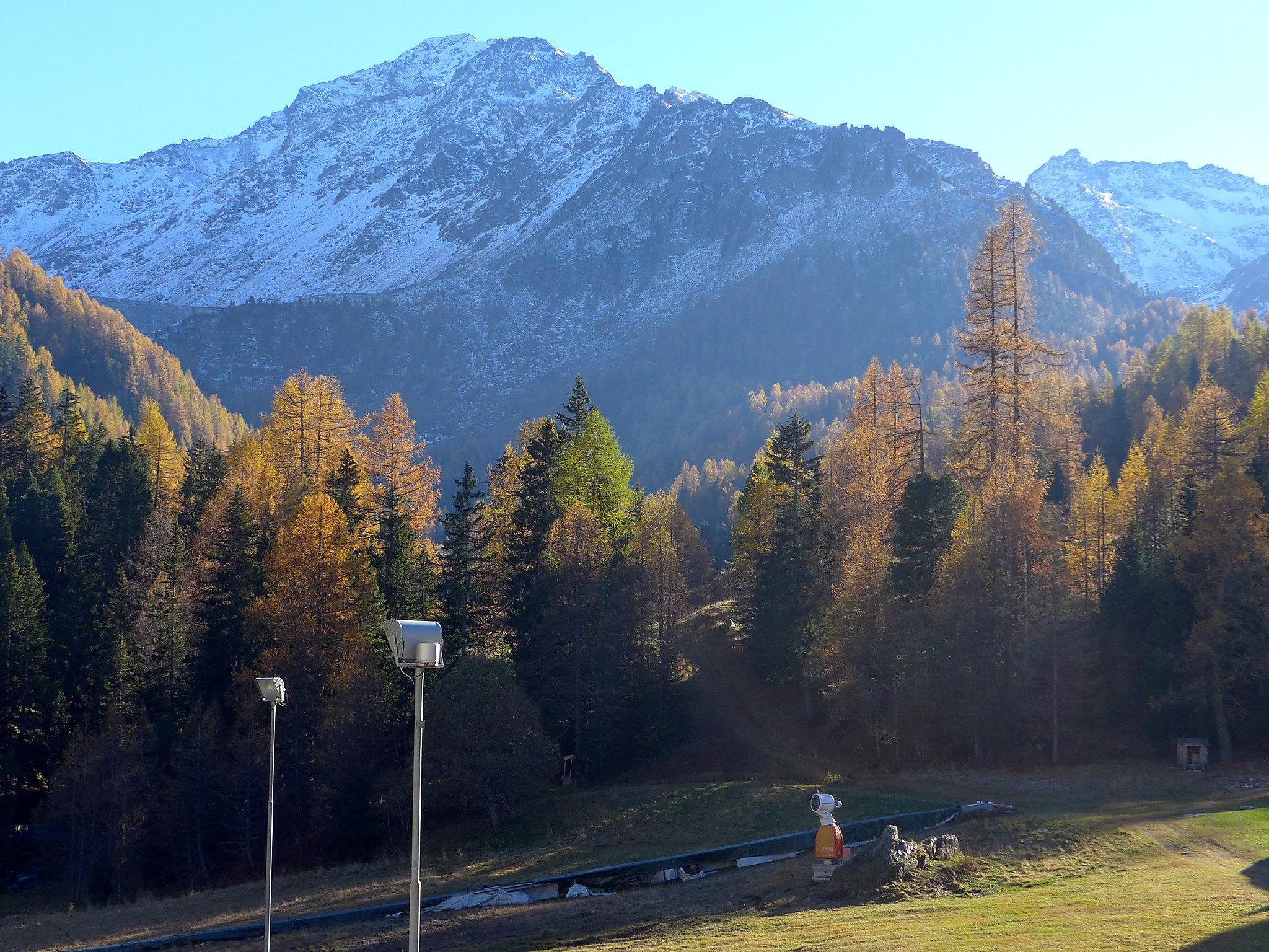 Foto 5 - Apartamento de 1 quarto em Nendaz com vista para a montanha