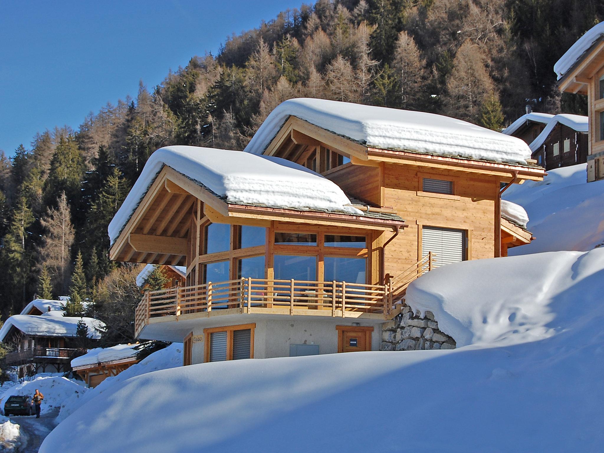 Foto 58 - Casa con 5 camere da letto a Nendaz con giardino e terrazza