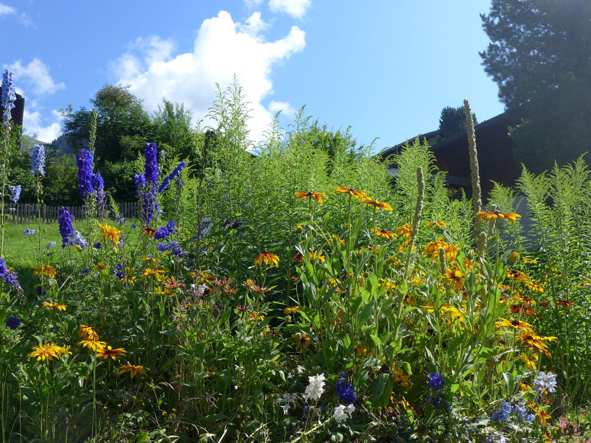 Foto 16 - Appartamento con 1 camera da letto a Grindelwald