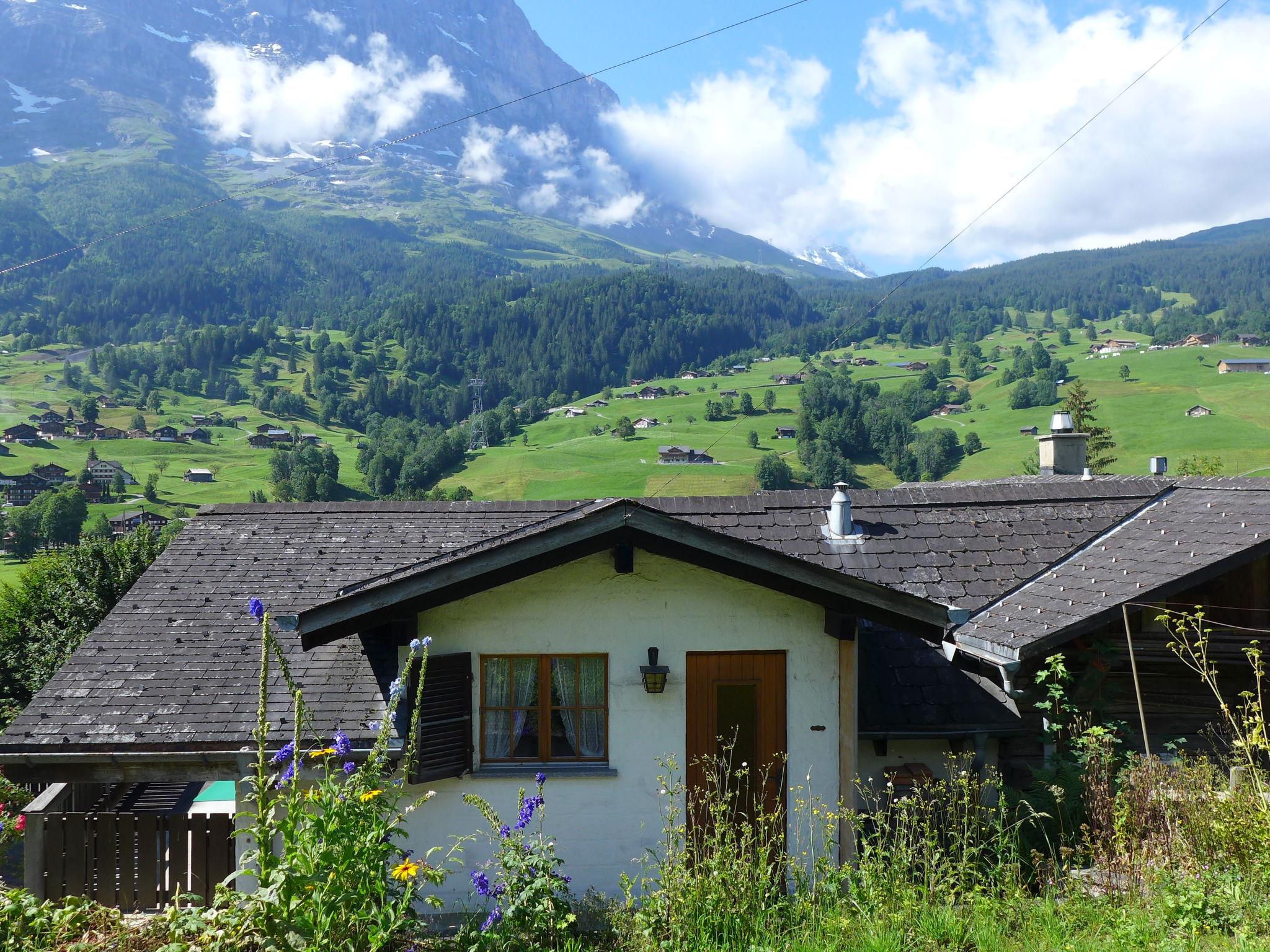 Foto 5 - Apartment mit 1 Schlafzimmer in Grindelwald mit blick auf die berge