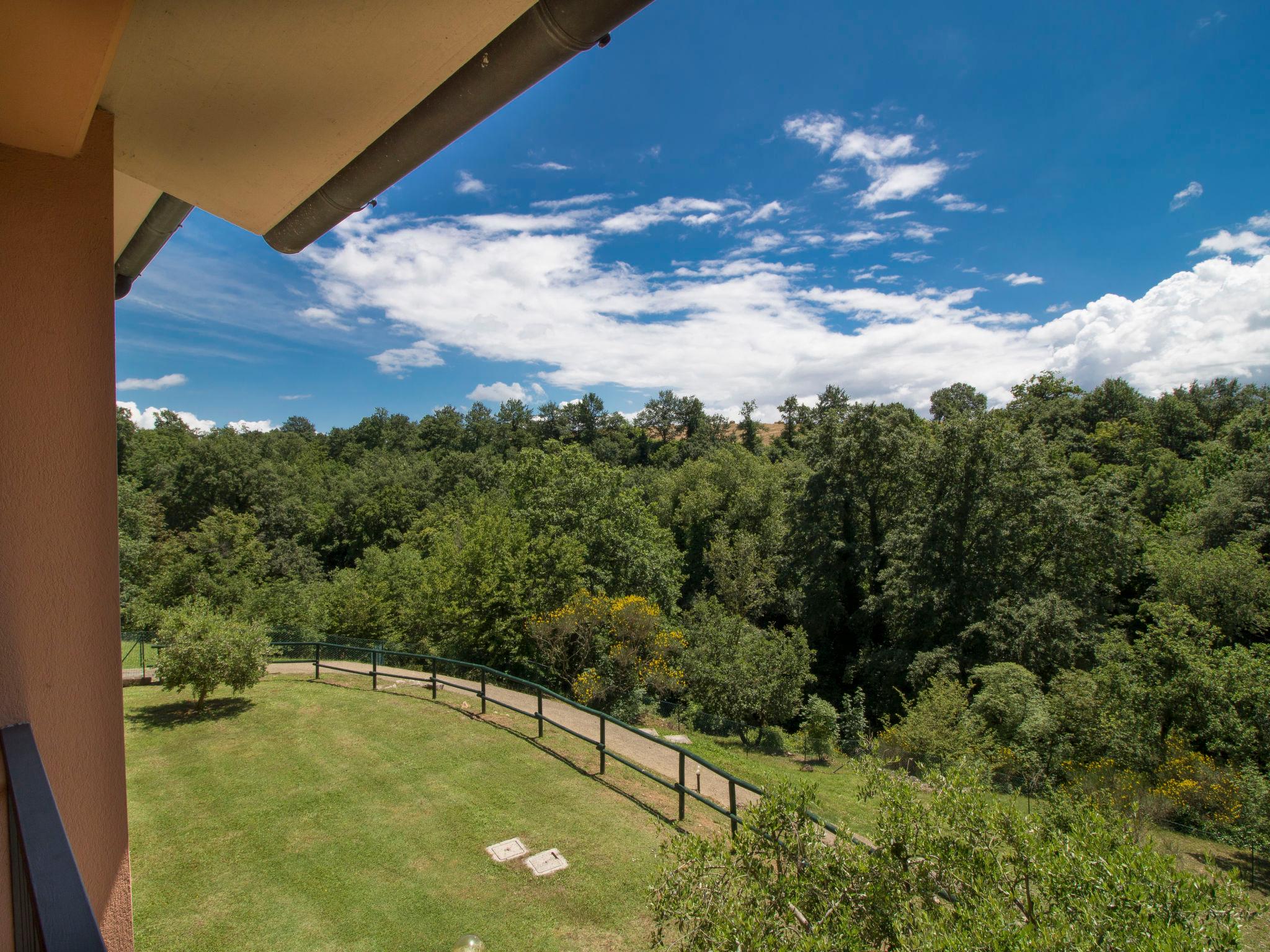 Photo 24 - Maison de 4 chambres à Sorano avec piscine et jardin