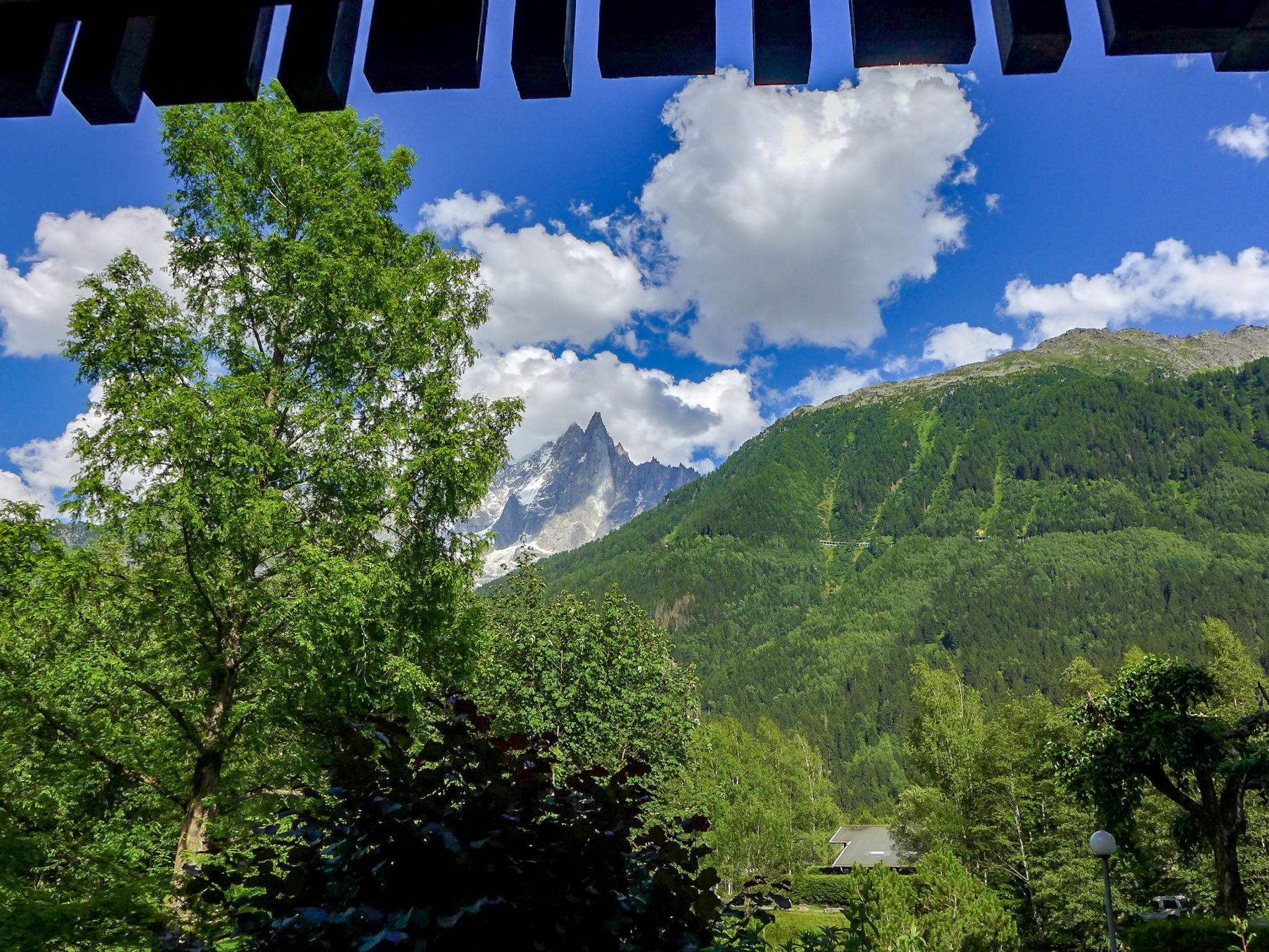 Foto 14 - Appartamento con 3 camere da letto a Chamonix-Mont-Blanc con vista sulle montagne