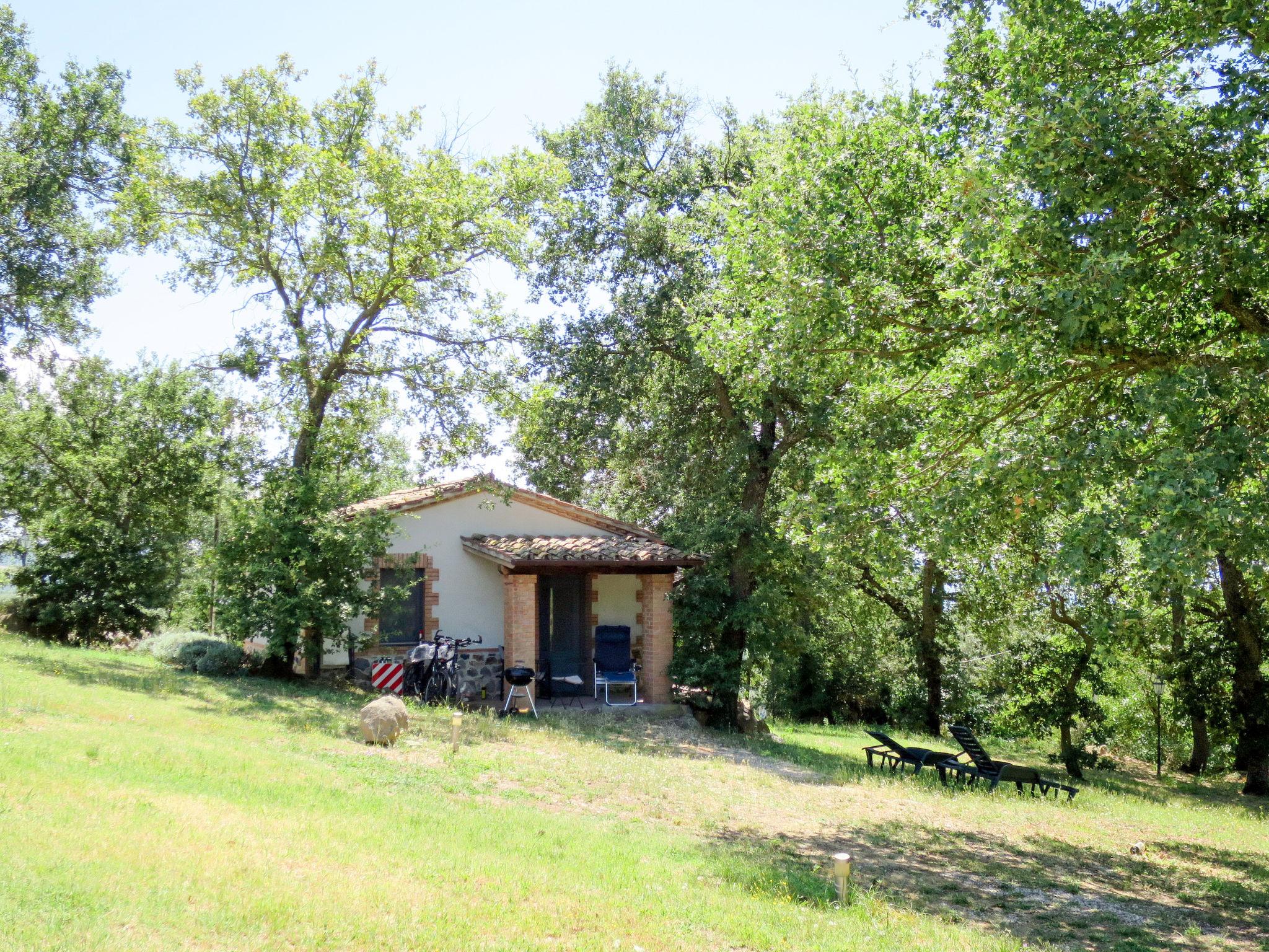 Foto 9 - Casa a Bolsena con piscina e giardino