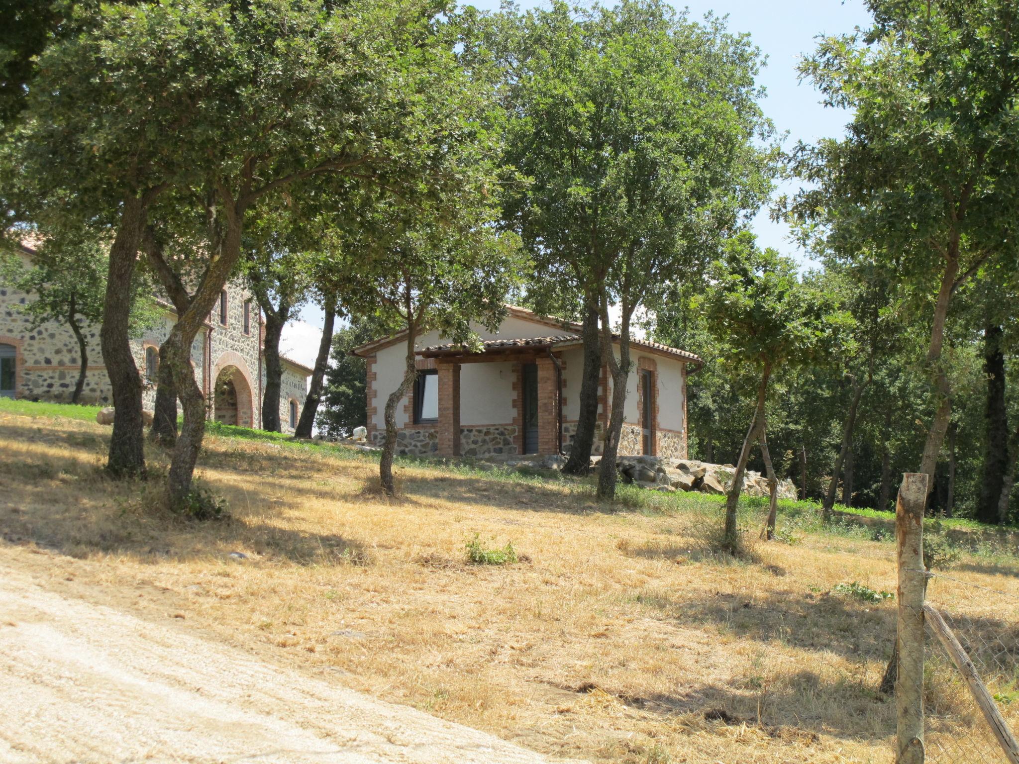 Photo 22 - Maison en Bolsena avec piscine et jardin