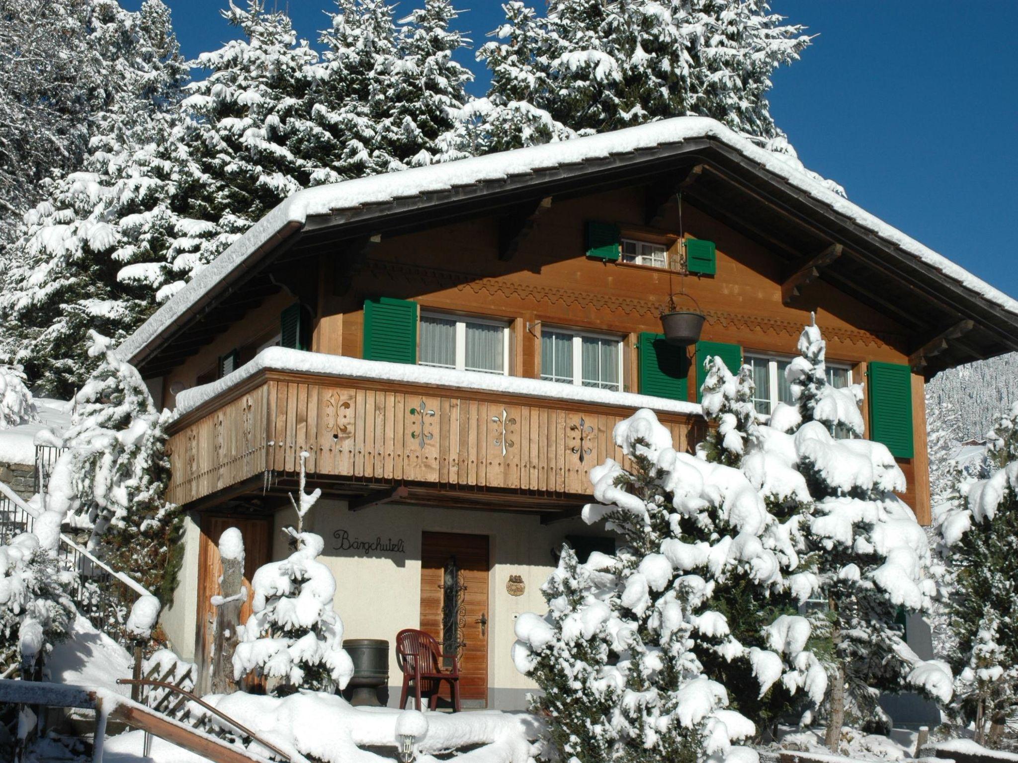 Foto 12 - Apartamento de 2 quartos em Adelboden com jardim