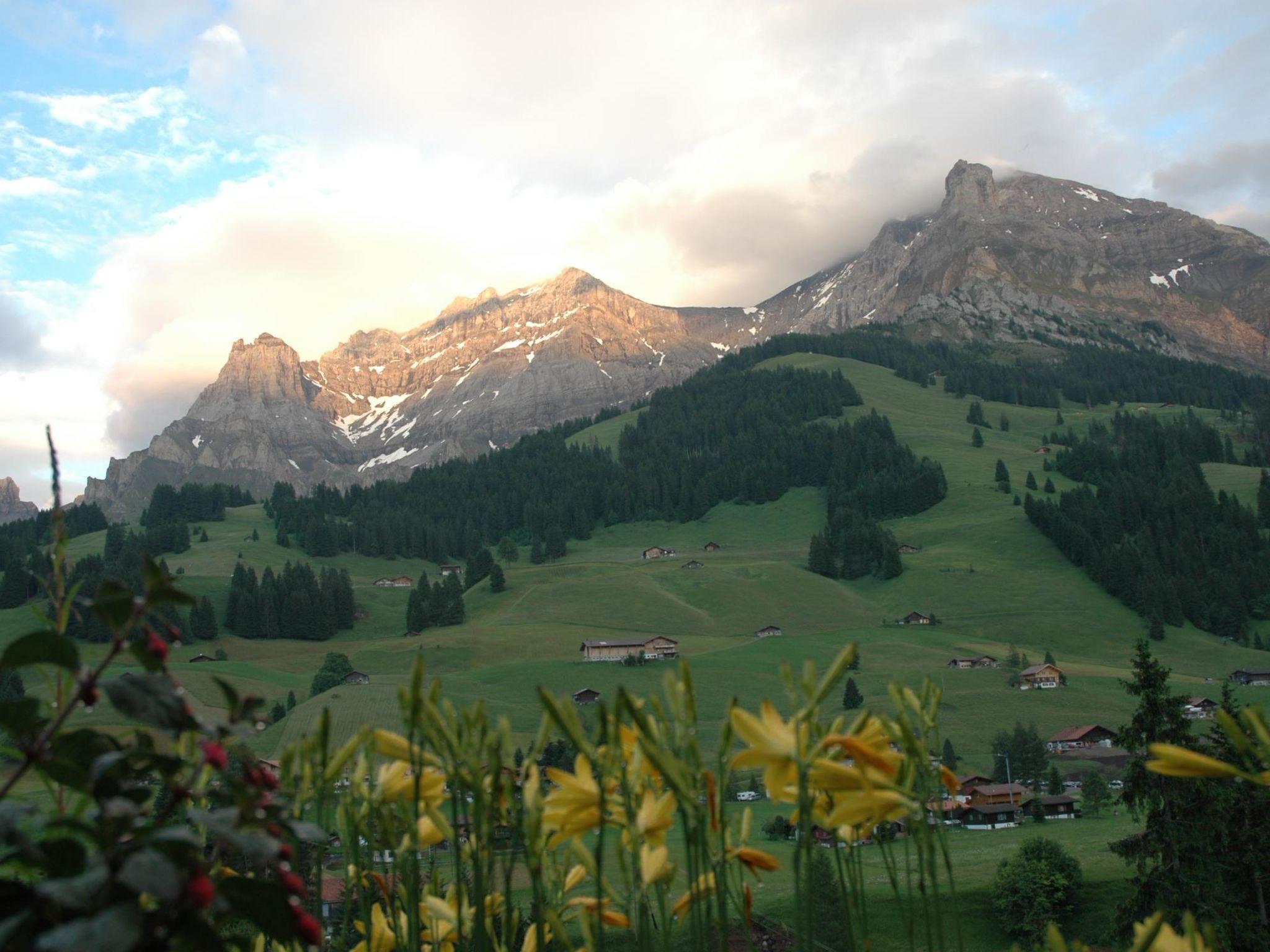 Photo 5 - Appartement de 1 chambre à Adelboden avec jardin