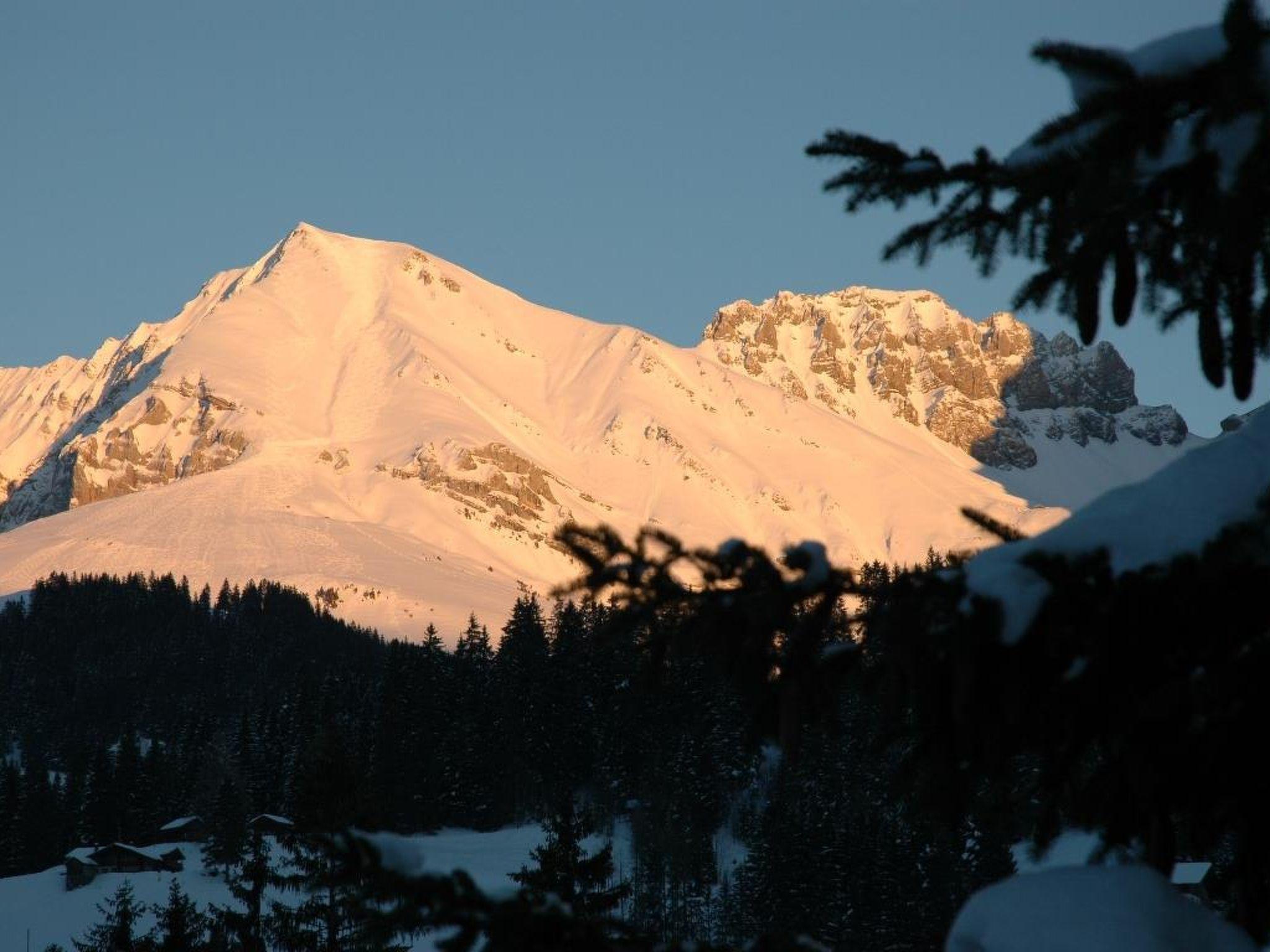 Foto 3 - Appartamento con 1 camera da letto a Adelboden con giardino