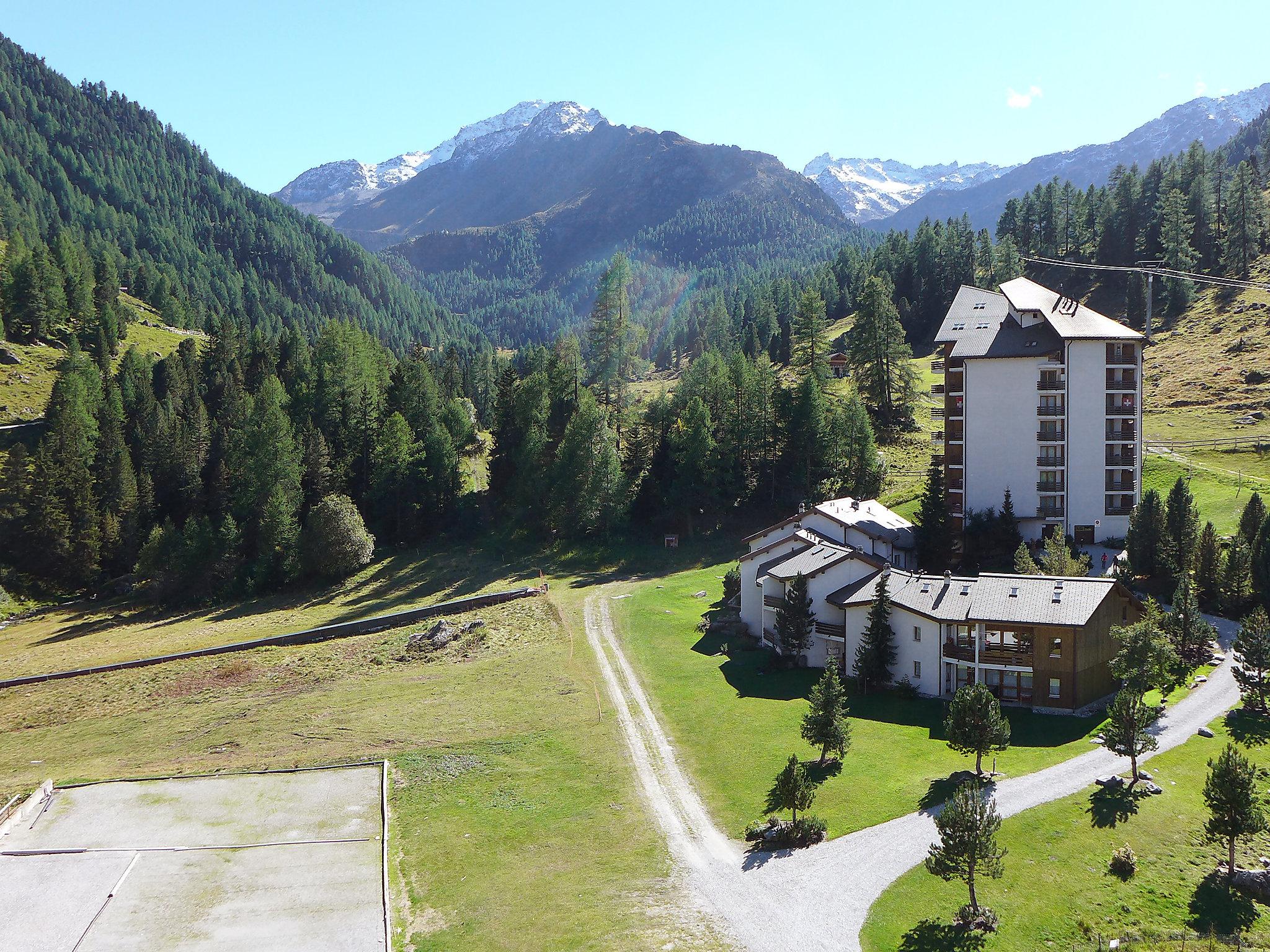 Foto 2 - Apartamento de 1 habitación en Nendaz con vistas a la montaña