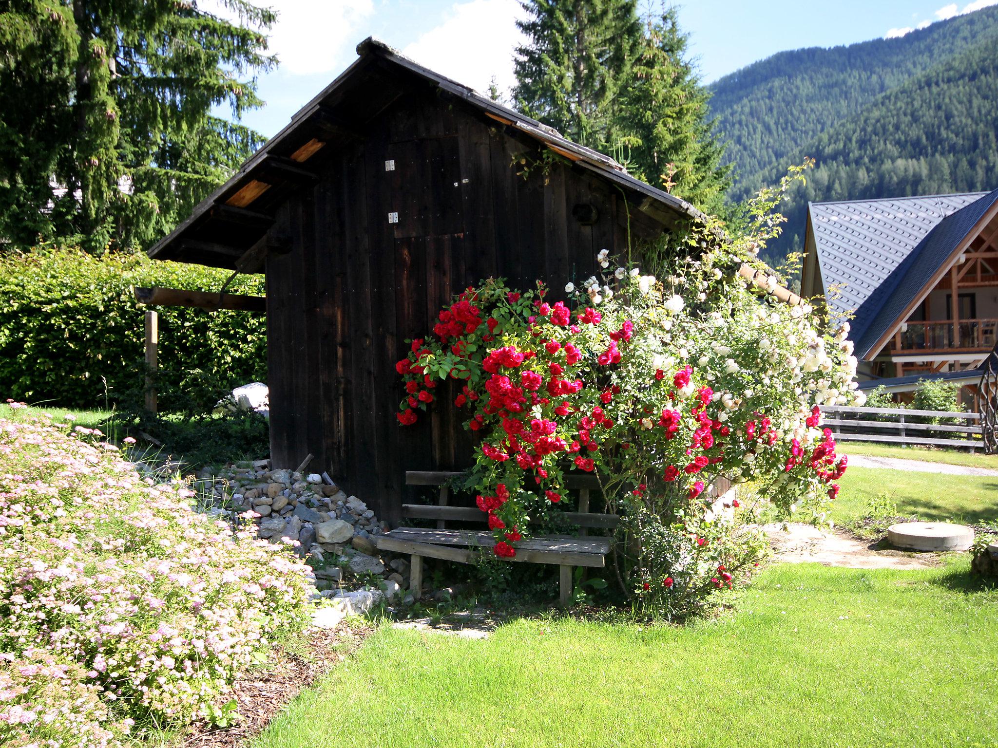 Foto 40 - Apartamento de 3 quartos em Bad Kleinkirchheim com jardim e terraço