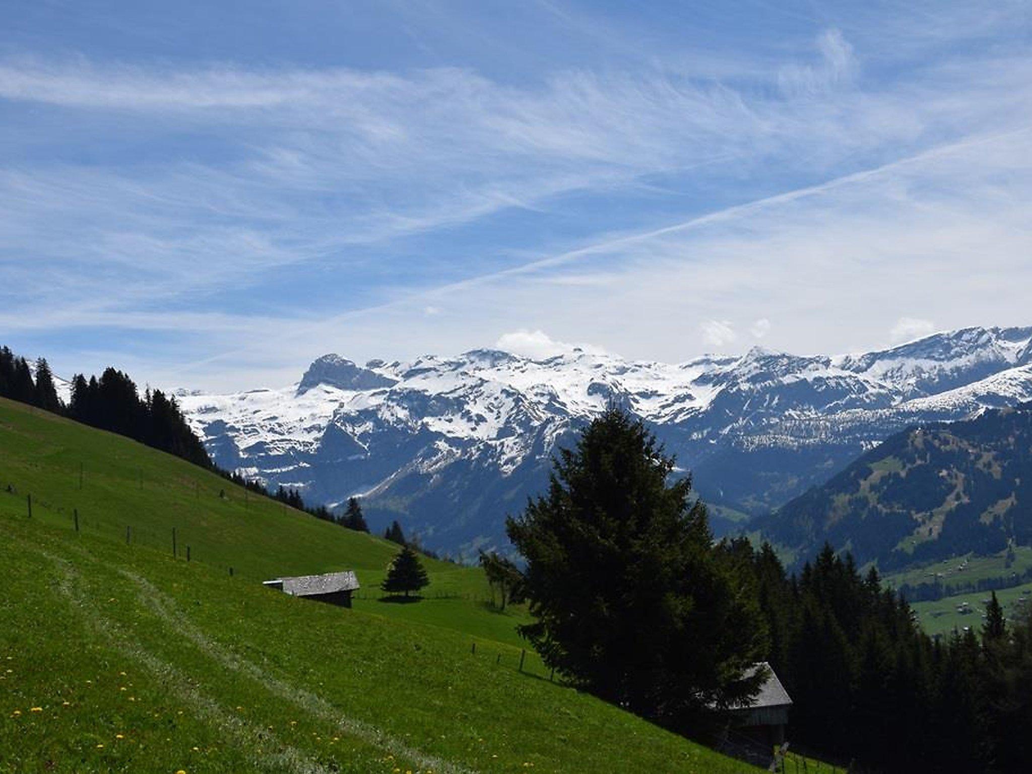 Photo 3 - Appartement de 2 chambres à Lenk