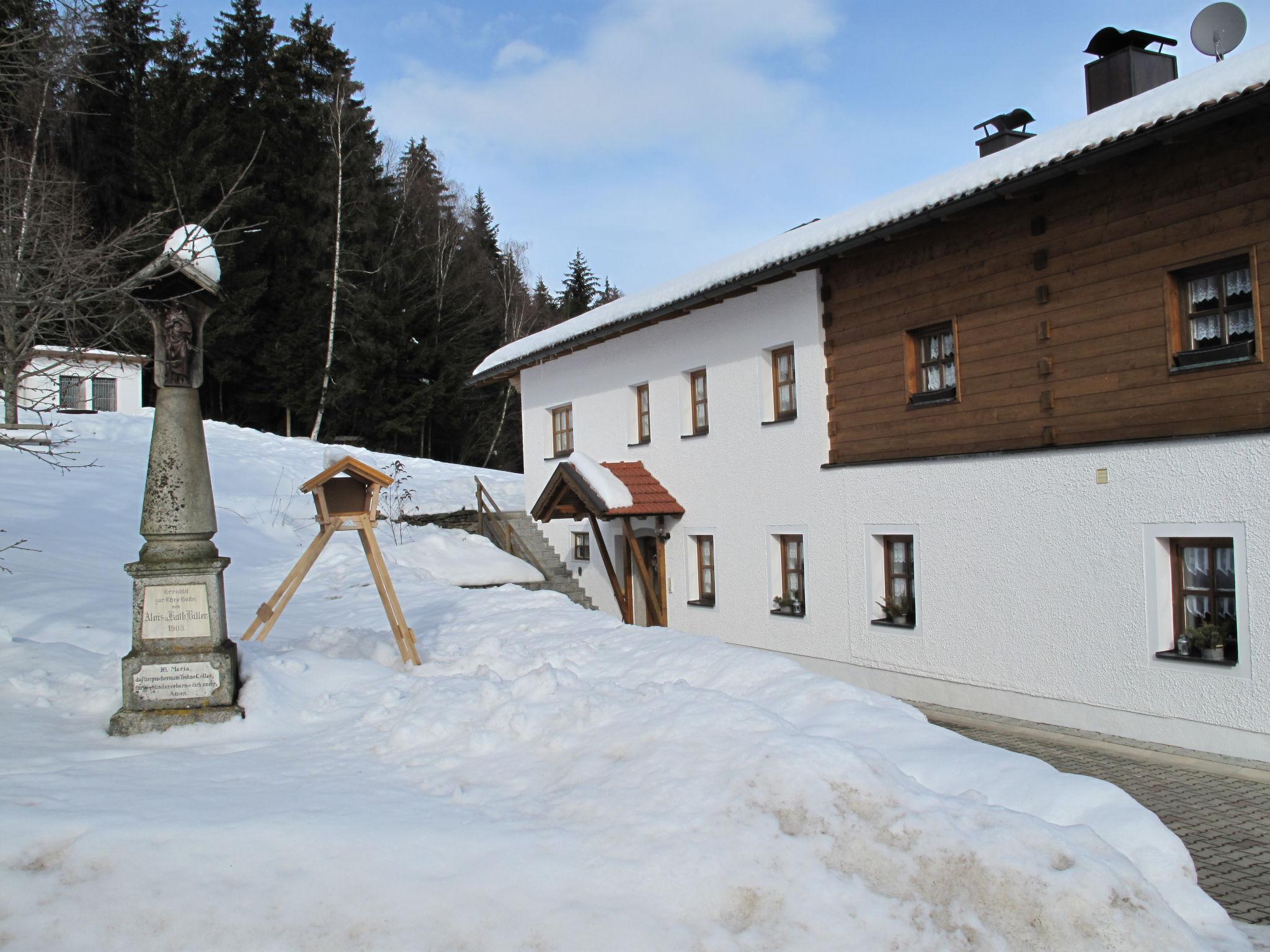 Photo 20 - Maison de 3 chambres à Zachenberg avec jardin et terrasse