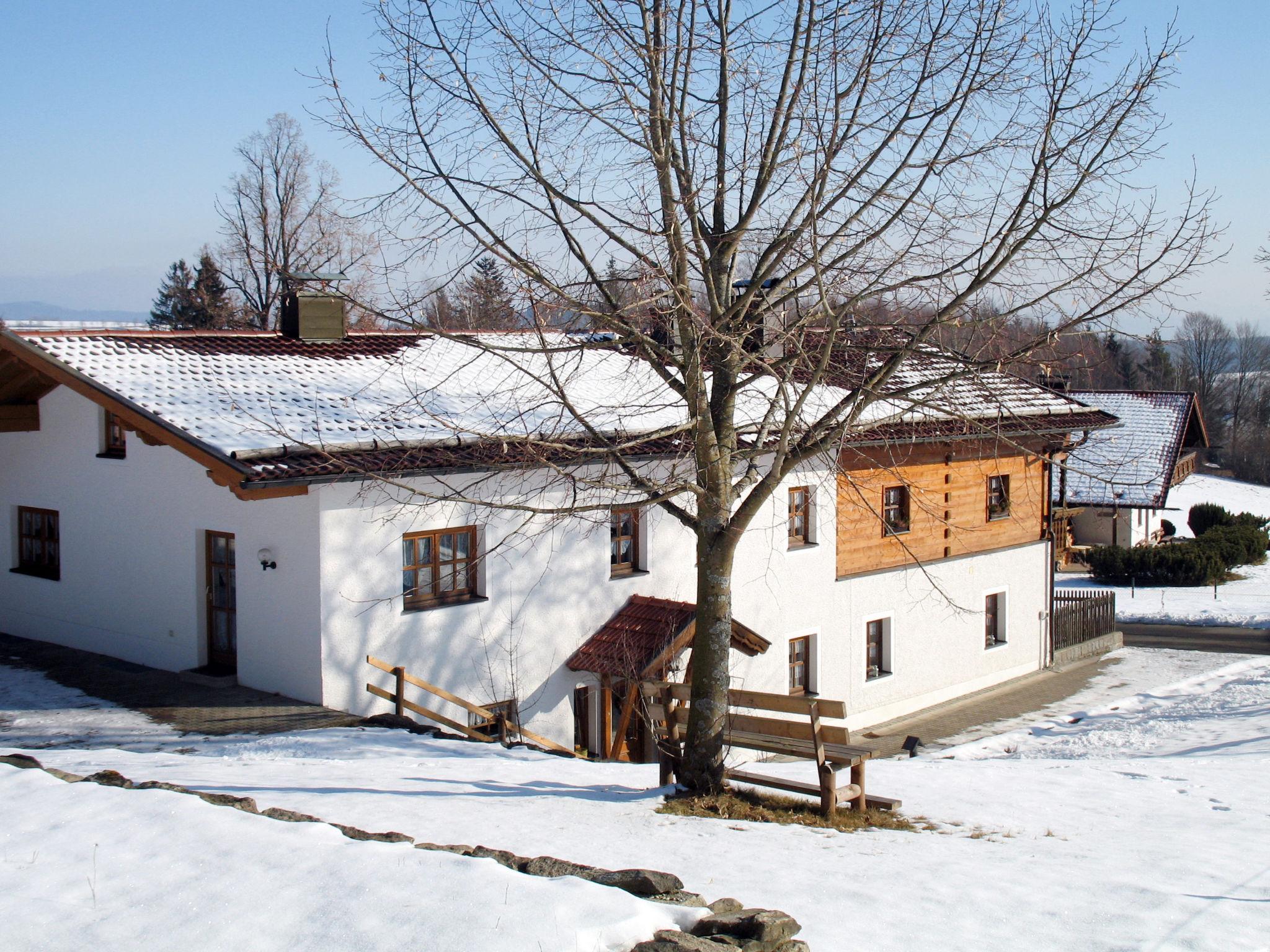 Foto 6 - Casa de 3 quartos em Zachenberg com jardim e vista para a montanha