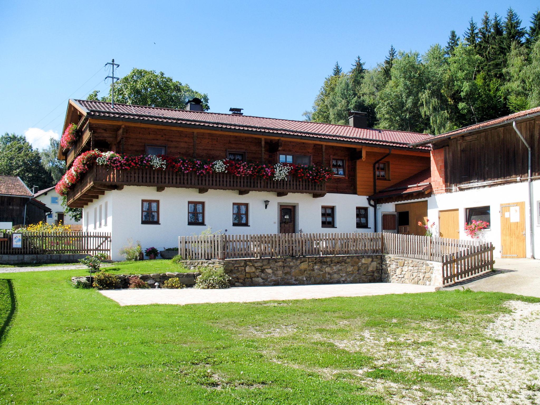 Photo 13 - Maison de 3 chambres à Zachenberg avec jardin et vues sur la montagne