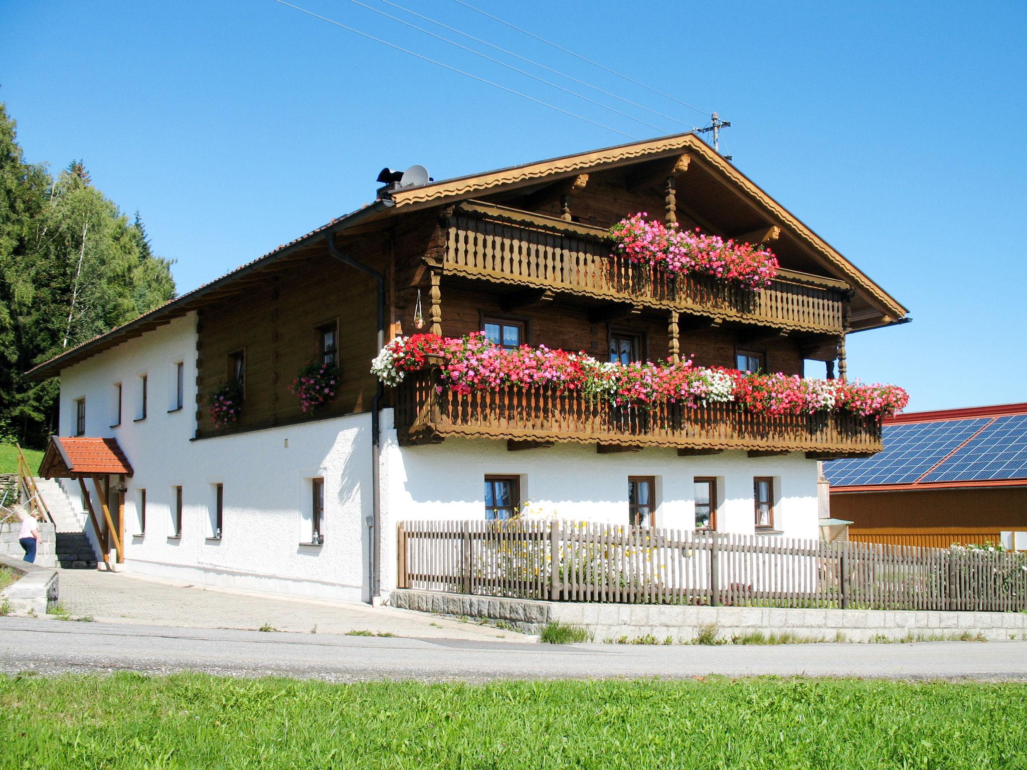 Photo 7 - Maison de 3 chambres à Zachenberg avec jardin et terrasse