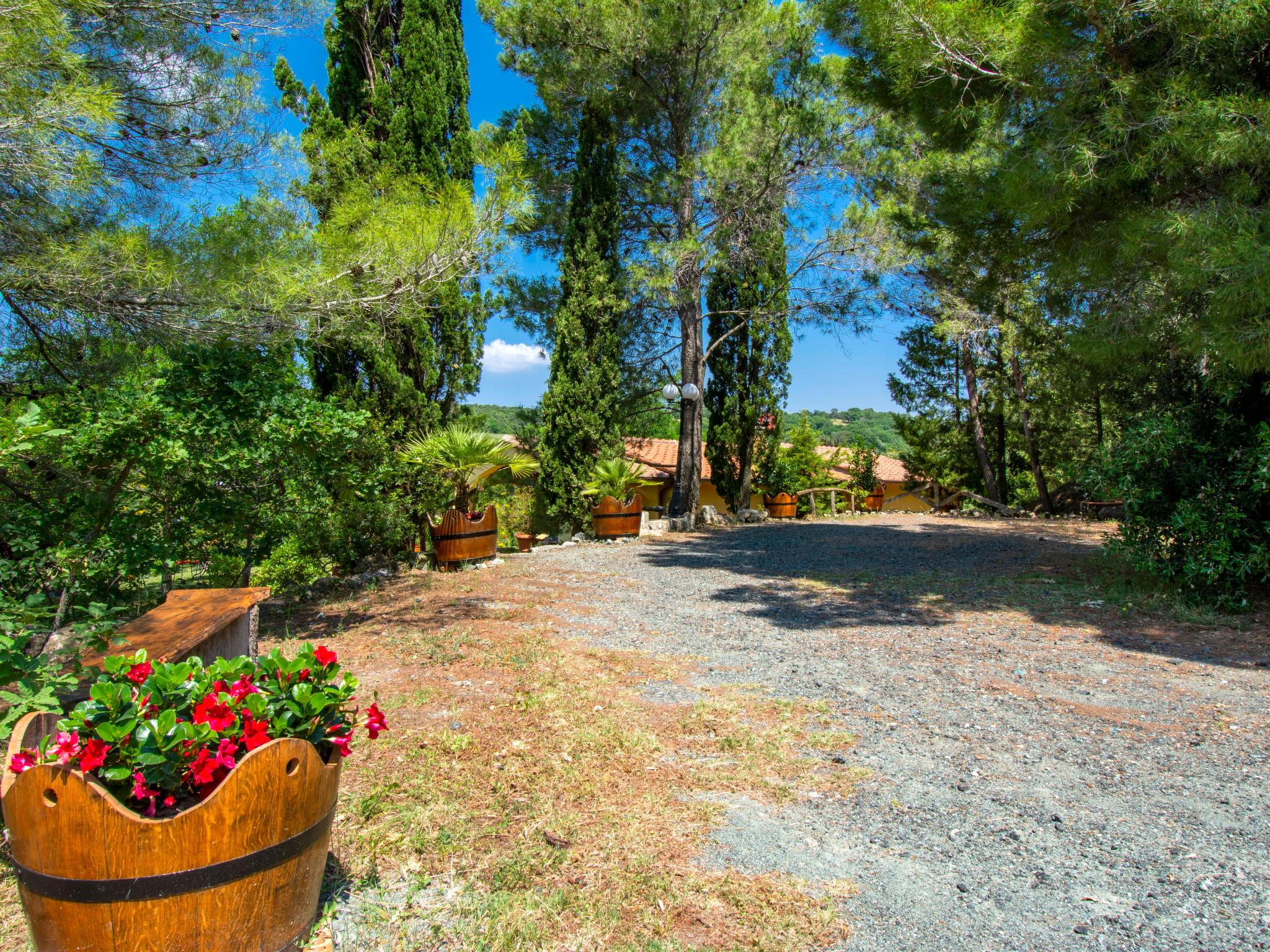 Photo 22 - Maison de 2 chambres à Riparbella avec jardin et terrasse