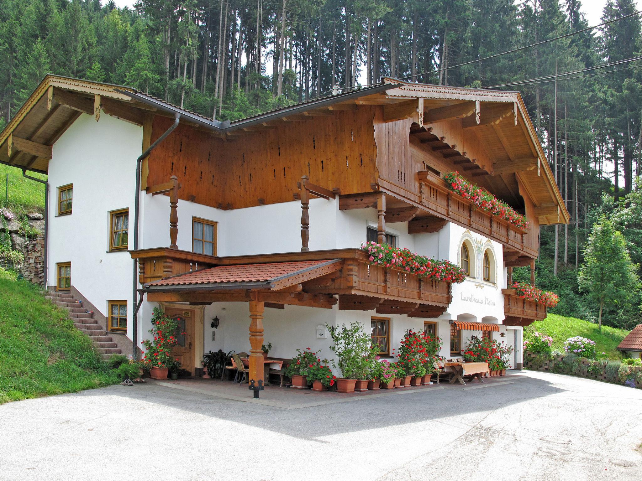 Foto 17 - Apartamento de 2 habitaciones en Rohrberg con piscina y vistas a la montaña
