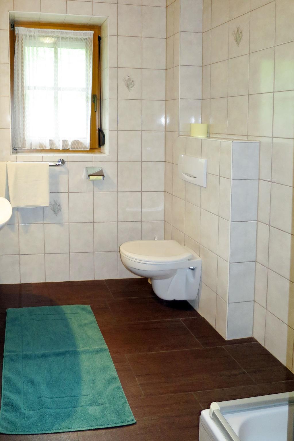 Photo 11 - 2 bedroom Apartment in Rohrberg with swimming pool and garden