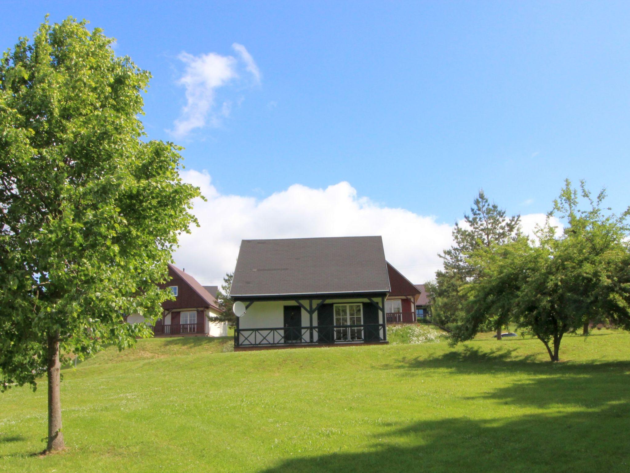 Foto 19 - Casa con 3 camere da letto a Černý Důl con piscina e giardino