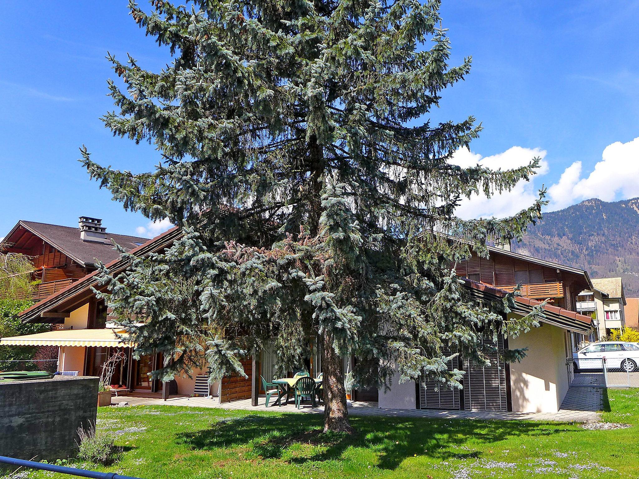 Photo 5 - Appartement de 2 chambres à Wilderswil avec jardin et terrasse