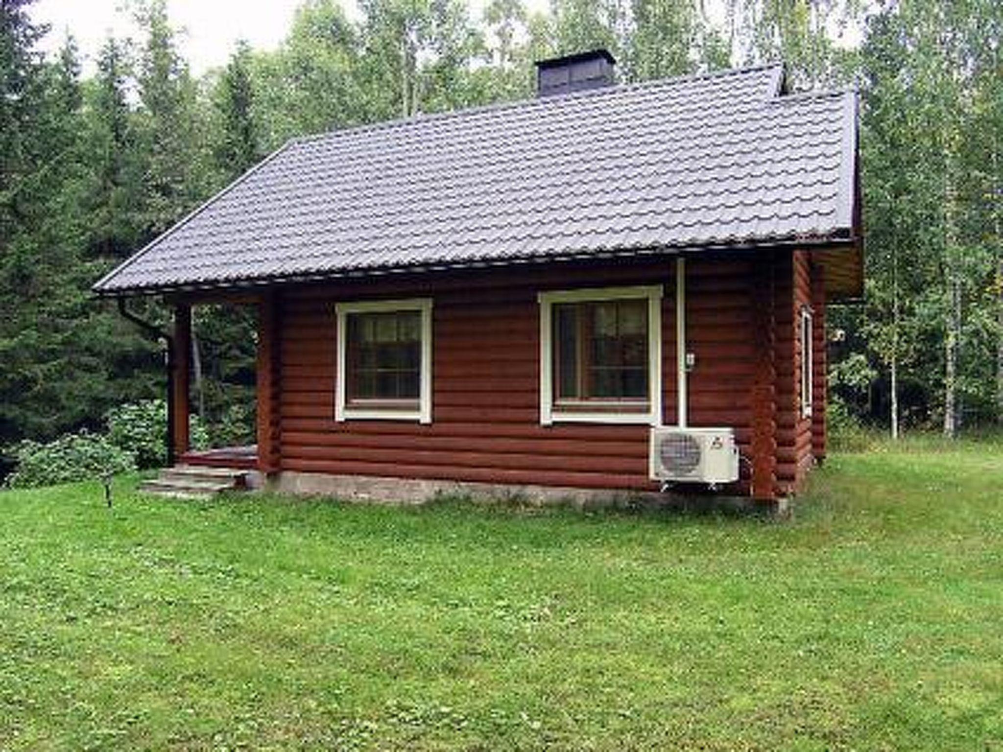 Foto 27 - Haus mit 1 Schlafzimmer in Viitasaari mit sauna