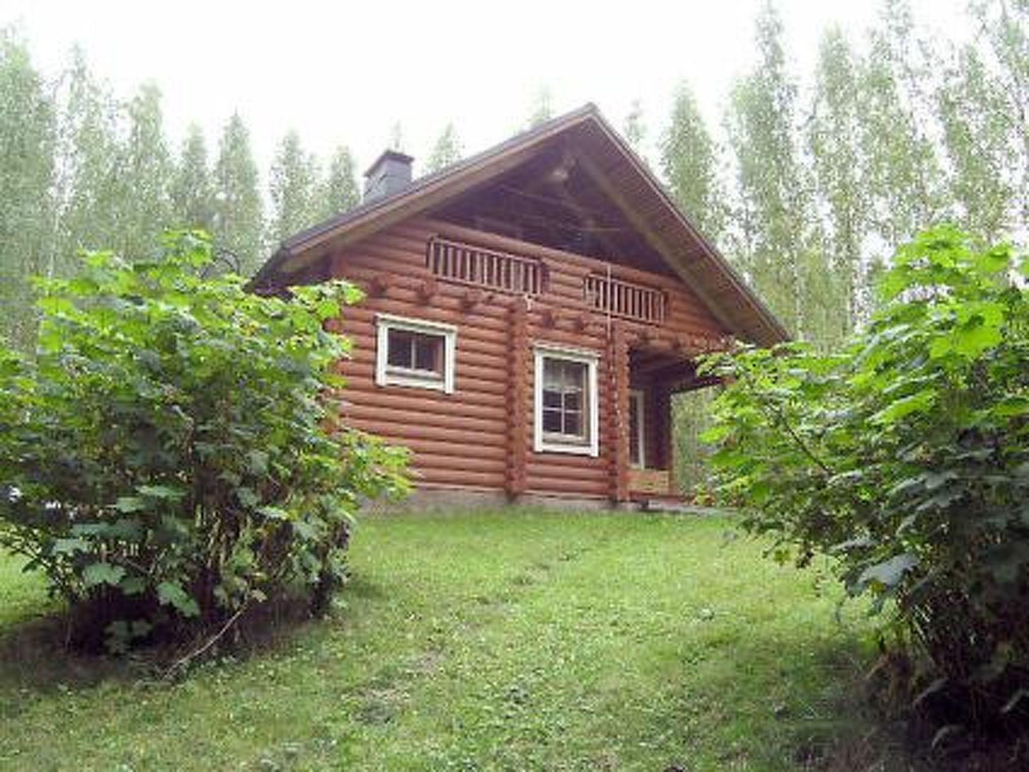 Foto 26 - Haus mit 1 Schlafzimmer in Viitasaari mit sauna