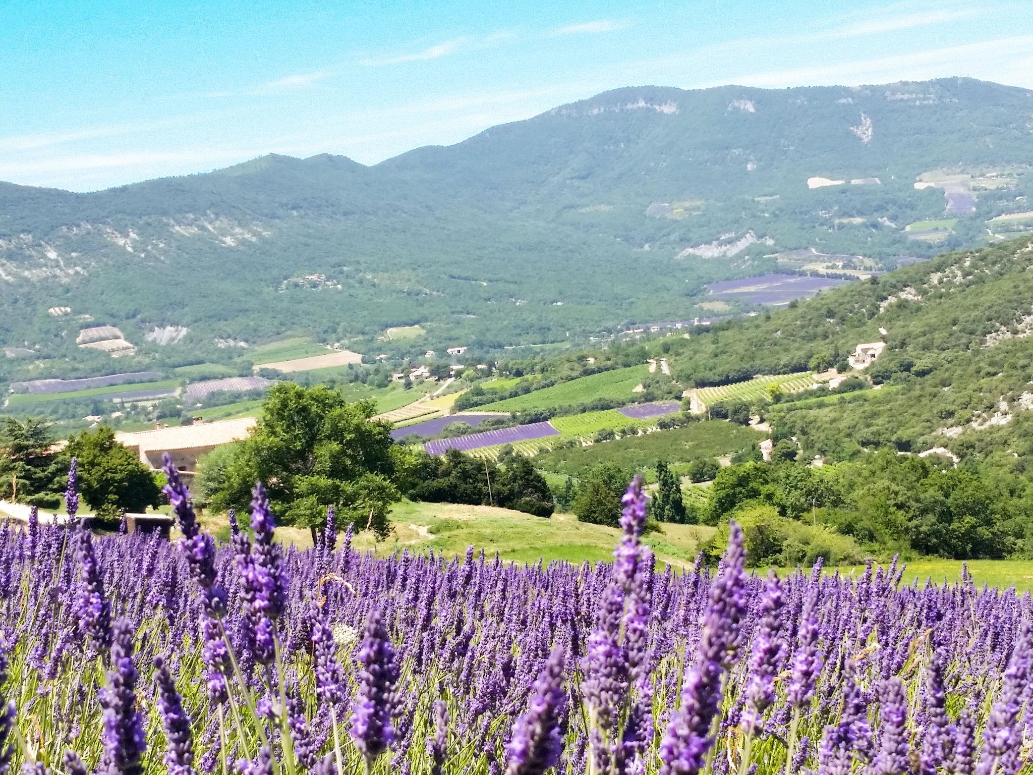 Photo 18 - 1 bedroom House in Roche-Saint-Secret-Béconne with garden