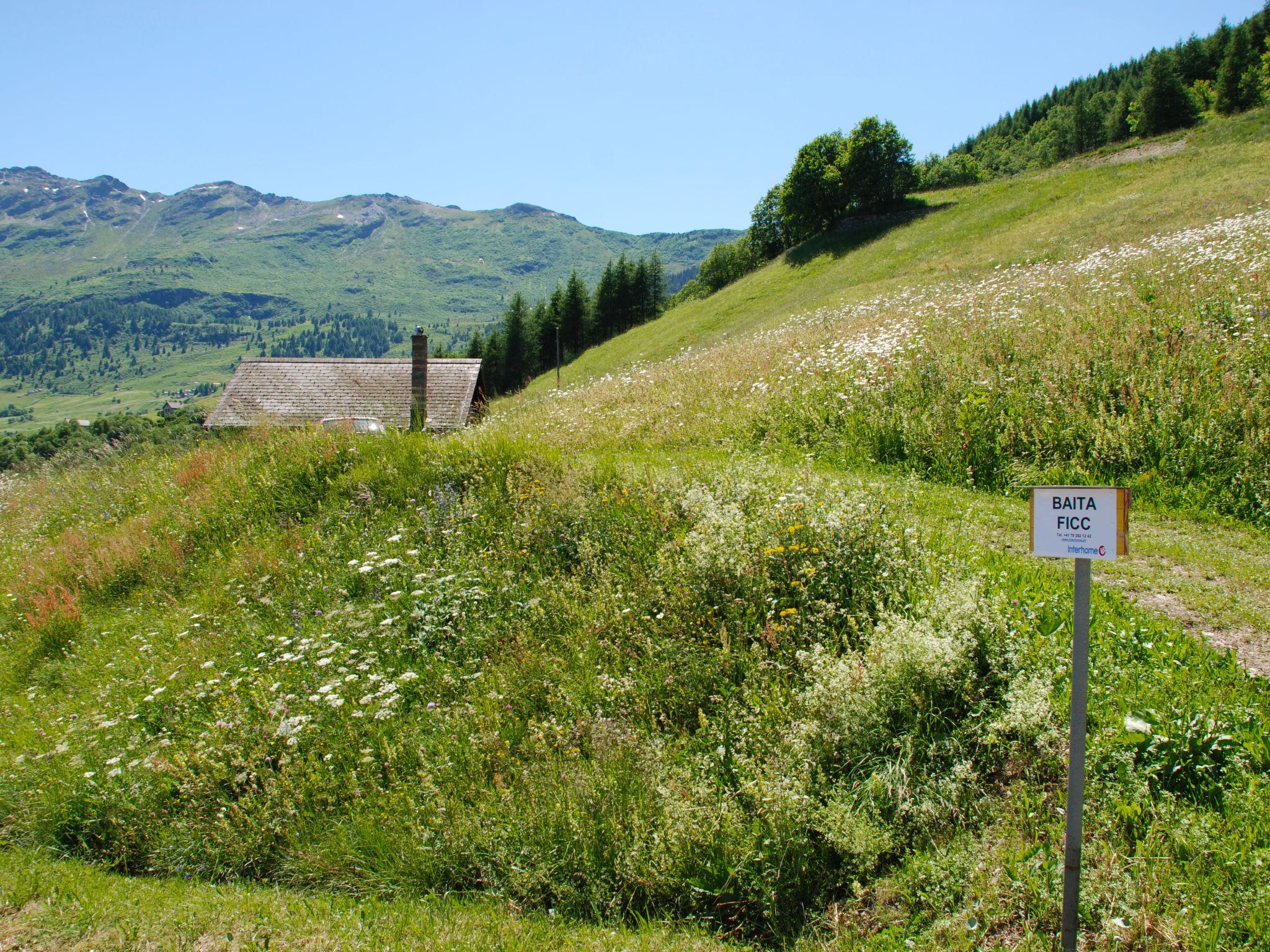 Photo 16 - Maison de 1 chambre à Acquarossa avec terrasse et vues sur la montagne