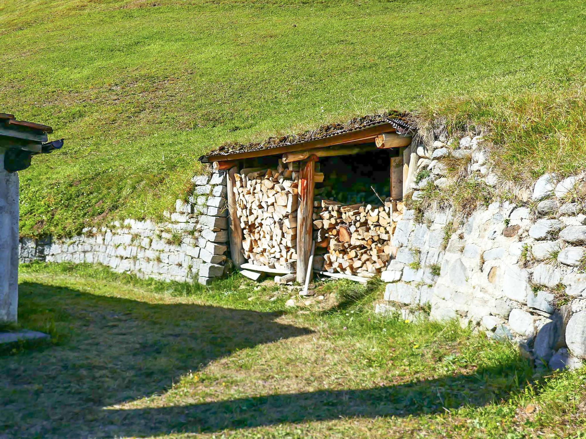 Photo 21 - Maison de 1 chambre à Acquarossa avec jardin et terrasse