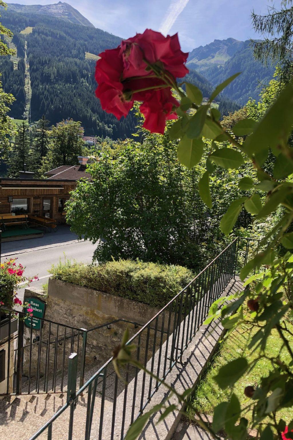 Foto 2 - Appartamento con 2 camere da letto a Bad Gastein con vista sulle montagne