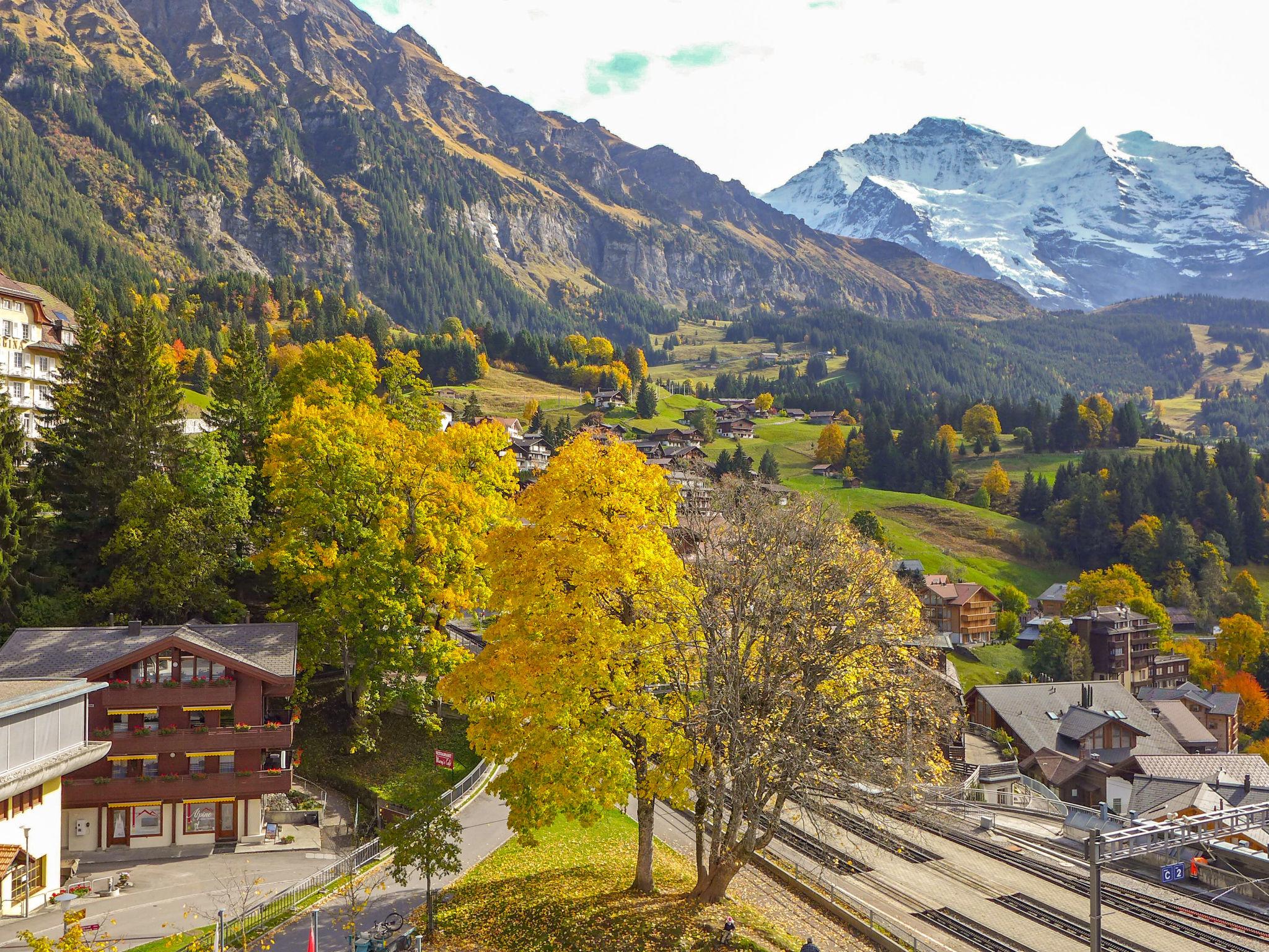 Foto 13 - Apartamento de 1 quarto em Lauterbrunnen com vista para a montanha