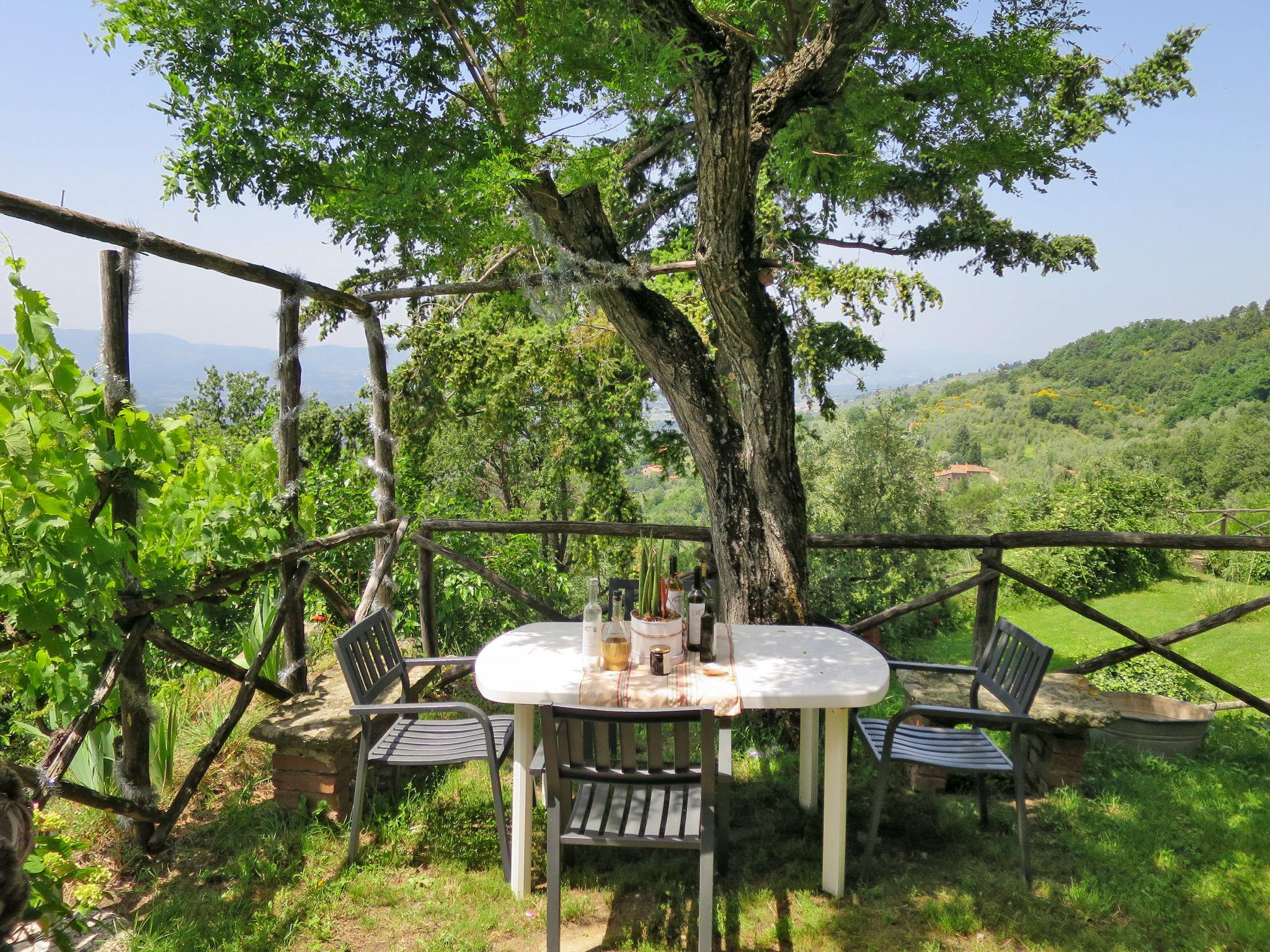 Foto 16 - Haus mit 3 Schlafzimmern in Castelfranco Piandiscò mit schwimmbad und garten