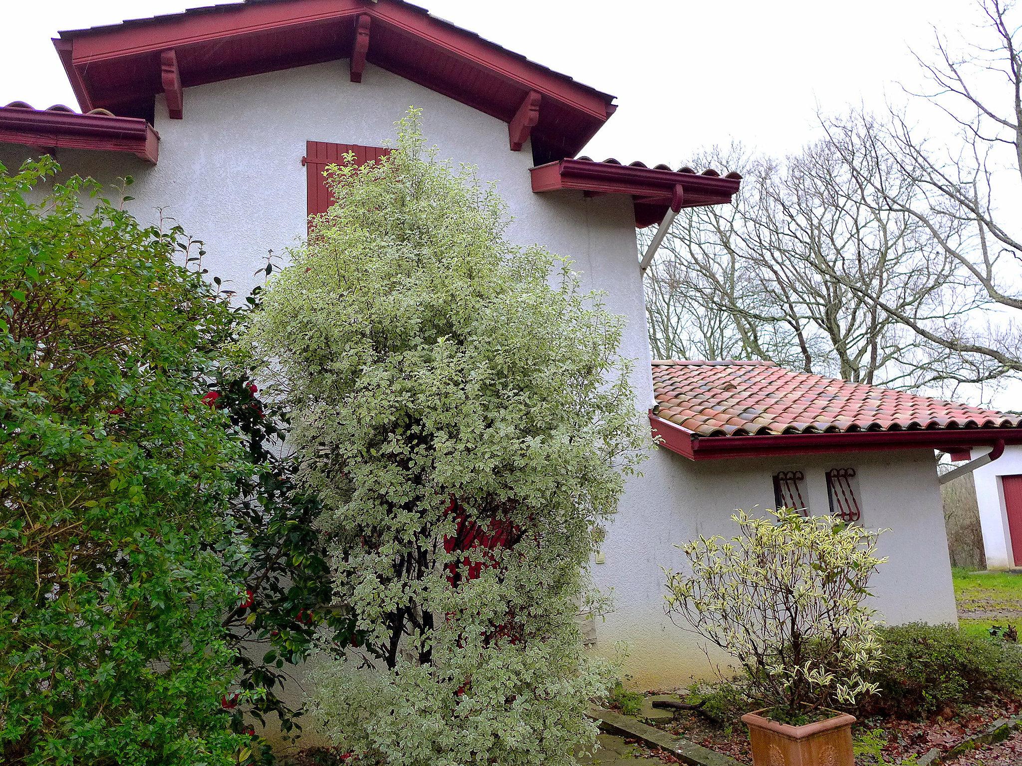 Foto 26 - Casa de 4 quartos em Saint-Pée-sur-Nivelle com jardim e terraço